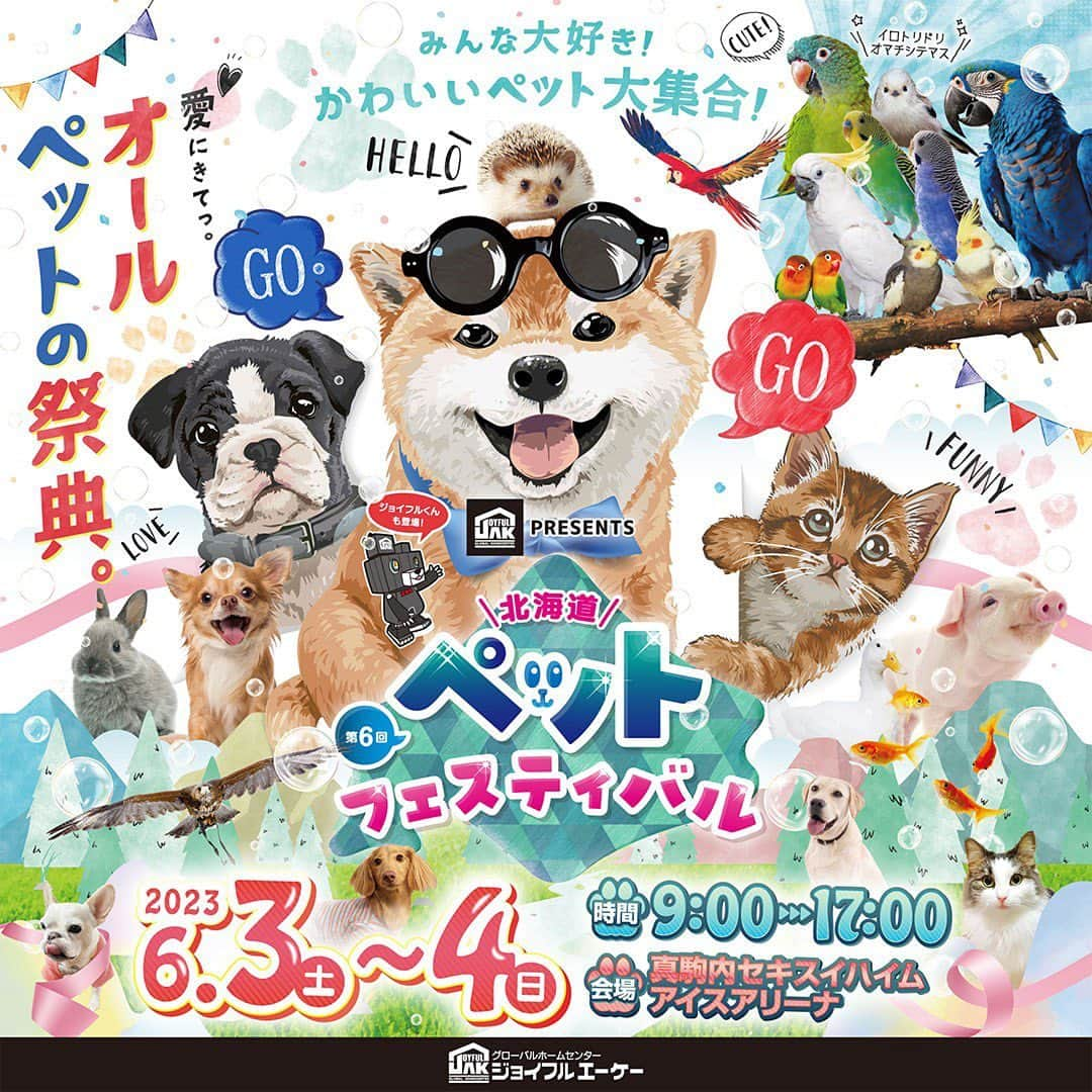 Petioのインスタグラム：「\イベント出展のお知らせ✨/ 北海道ペットフェスティバル🎪  6月3-4日に開催される 『北海道ペットフェスティバル』にPetioも出展！  Petioブースでは超お買い得アウトレット市や、話題の新商品の展示＆販売、バリカン体験会、おやつのサンプリング（数量限定）、SNS連動プレゼント企画などなどイベント盛りだくさんでおとどけします🐾  💡 イベント当日、この投稿をPetioブースにいるスタッフに見せていただくと、先着20名様にペティオグッズをプレゼントします🎁  お近くの方、来場よていの方、 会場に着いたらぜひPetioにきてね🫰🏻🎉  ◾️ 北海道ペットフェスティバル ・開催日:2023.6/3-4 ・会場:真駒内セキスイハイムアイスアリーナ （北海道札幌市南区真駒内公園1-1） ・入場料 └前売券 大人1200円/子供700円 └当日券 大人1500円/子供900円 ・駐車場：500円/1日（スペースには数に限りがあります）  ______________________ #北海道 #北海道ペットフェスティバル  #イベント #event #いぬ #ねこ #週末 #週末イベント #プレゼント #プレゼント企画 #限定 #present  #お出かけ #わんこと一緒 #にゃんこと一緒 #楽しみ」