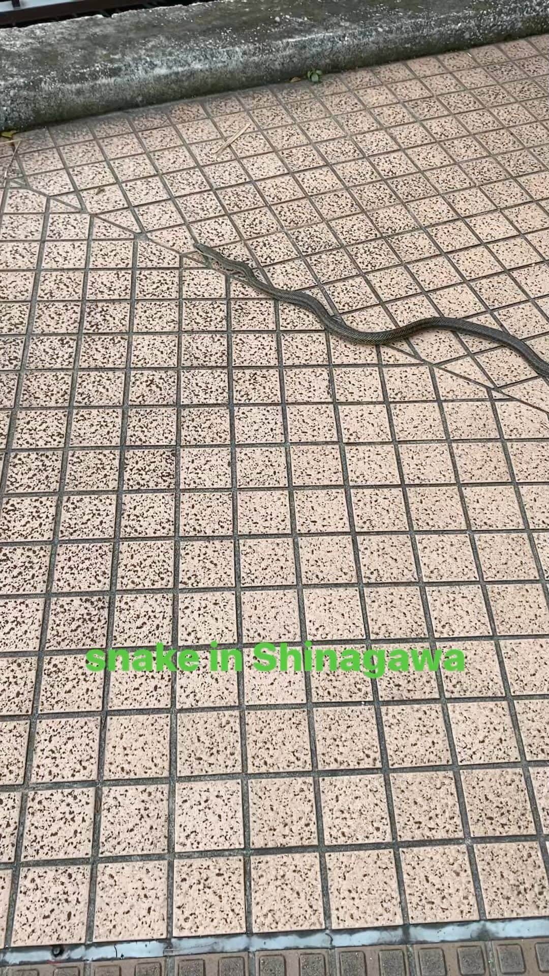 山根良顕のインスタグラム