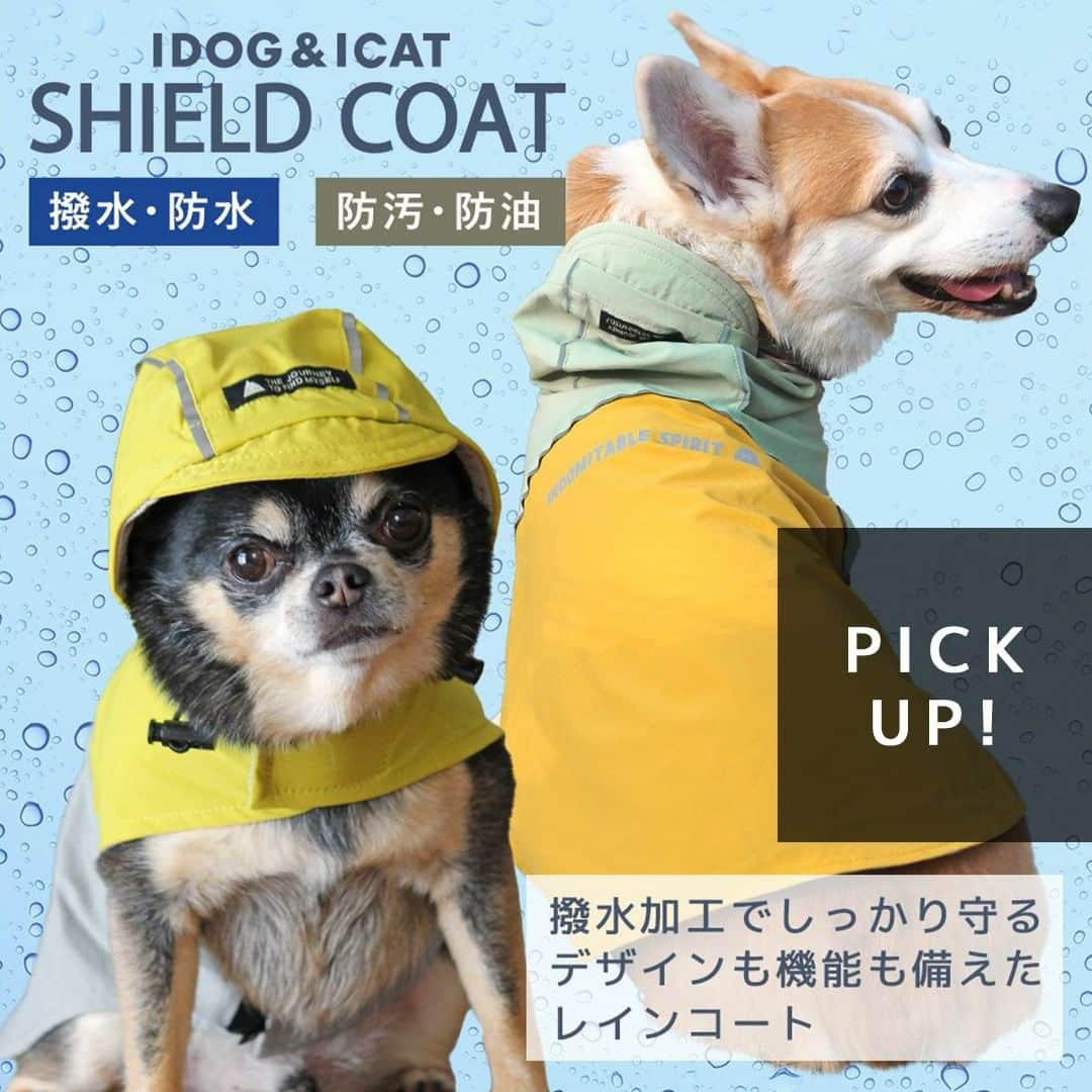 iDog&iCatさんのインスタグラム写真 - (iDog&iCatInstagram)「本日は梅雨の時期に活躍すること間違いなしの「SHIELD COAT バイカラーストレッチイージーレインコート」をご紹介いたします☔✨  バイカラーデザインがオシャレなレインコートです。 表のストレッチ性のあるナイロン素材には防水・撥水加工が施してあります。 さらに防汚・防油加工で付着した汚れも落ちやすいです。  フードと切り替え部分には反射テープが付いており、夜道のお散歩も安心です。 目に入る雨を少しでも防ぐように、小さなツバを縫い付け仕上げました。 さらにドローコードを引っ張ることで、愛犬の顔周りピッタリに調整することができます。オリジナルネームタグがポイントです。  首後にはリードホール付きです。  背中には反射プリントを入れました。 お尻部分がめくれ上がるのを防ぐために、裾裏には尻尾を引っ掛けるゴムが付いています。  首とお腹を面ファスナーで留めるだけで簡単に着せることができます。前後２cm程度の調整が可能です。  総裏メッシュでレインコートにワンちゃんの毛が張りつかないよう仕上げました。  愛犬に雨の日のお散歩を楽しんでほしい。そんな想いから、たくさんの機能を盛り込んだこだわりのペット用雨具です。 簡単に着せられるので、早くお散歩に行きたいワンちゃんにもおすすめです。  ※面ファスナーとはフック状とループ状の布テープを押し付けて貼り合わせる型式の留め具です。  商品番号/16386- 商品名/SHIELD COAT バイカラーストレッチイージーレインコート 3,245円(税込)  #iDog #iDogiCat #iCat #ペット服 #ドッグウェア #レインコート #カッパ #新作 #春夏新作 #犬服 #犬の服 #犬の服iDog #うちの子優勝 #梅雨」6月2日 16時15分 - idogicat