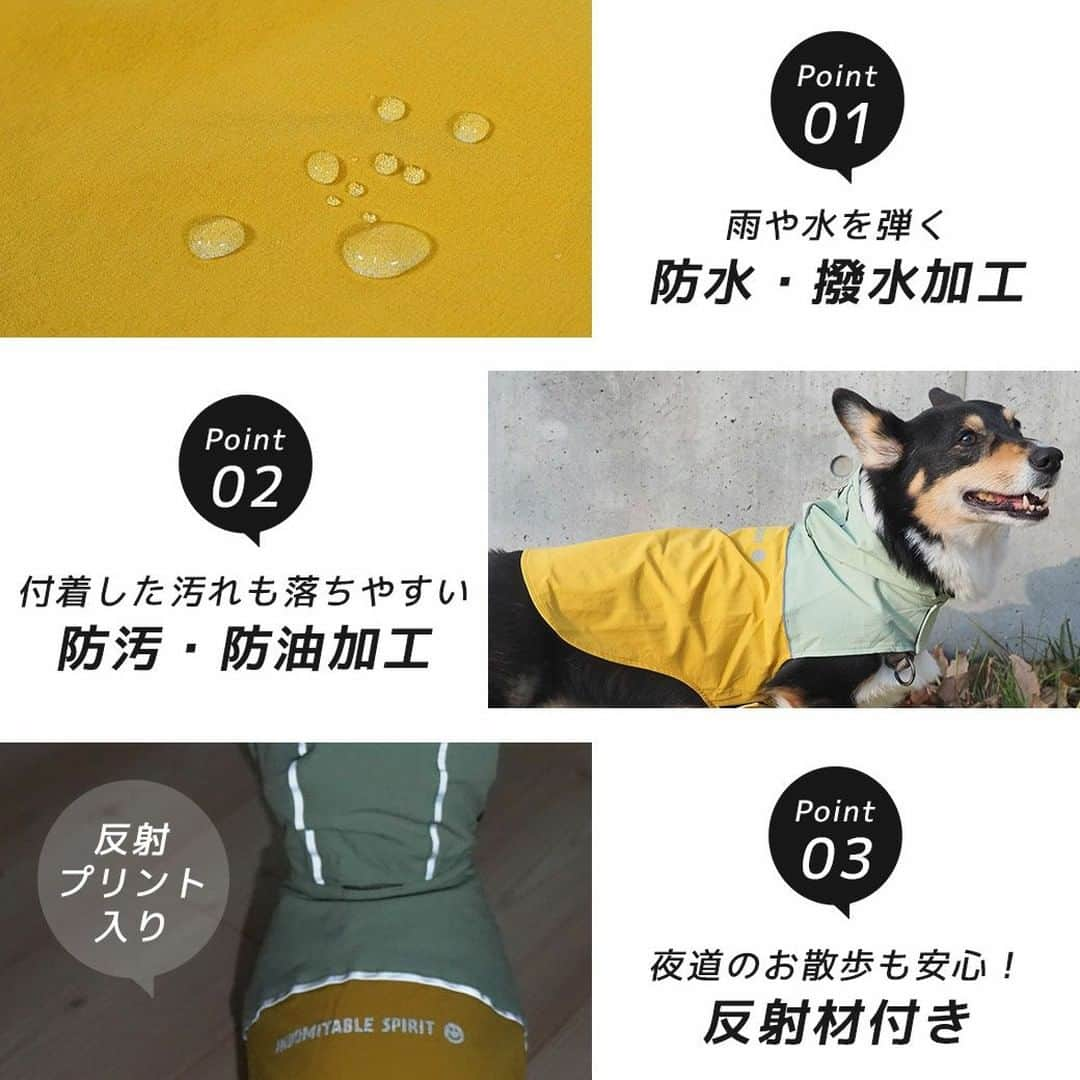 iDog&iCatさんのインスタグラム写真 - (iDog&iCatInstagram)「本日は梅雨の時期に活躍すること間違いなしの「SHIELD COAT バイカラーストレッチイージーレインコート」をご紹介いたします☔✨  バイカラーデザインがオシャレなレインコートです。 表のストレッチ性のあるナイロン素材には防水・撥水加工が施してあります。 さらに防汚・防油加工で付着した汚れも落ちやすいです。  フードと切り替え部分には反射テープが付いており、夜道のお散歩も安心です。 目に入る雨を少しでも防ぐように、小さなツバを縫い付け仕上げました。 さらにドローコードを引っ張ることで、愛犬の顔周りピッタリに調整することができます。オリジナルネームタグがポイントです。  首後にはリードホール付きです。  背中には反射プリントを入れました。 お尻部分がめくれ上がるのを防ぐために、裾裏には尻尾を引っ掛けるゴムが付いています。  首とお腹を面ファスナーで留めるだけで簡単に着せることができます。前後２cm程度の調整が可能です。  総裏メッシュでレインコートにワンちゃんの毛が張りつかないよう仕上げました。  愛犬に雨の日のお散歩を楽しんでほしい。そんな想いから、たくさんの機能を盛り込んだこだわりのペット用雨具です。 簡単に着せられるので、早くお散歩に行きたいワンちゃんにもおすすめです。  ※面ファスナーとはフック状とループ状の布テープを押し付けて貼り合わせる型式の留め具です。  商品番号/16386- 商品名/SHIELD COAT バイカラーストレッチイージーレインコート 3,245円(税込)  #iDog #iDogiCat #iCat #ペット服 #ドッグウェア #レインコート #カッパ #新作 #春夏新作 #犬服 #犬の服 #犬の服iDog #うちの子優勝 #梅雨」6月2日 16時15分 - idogicat