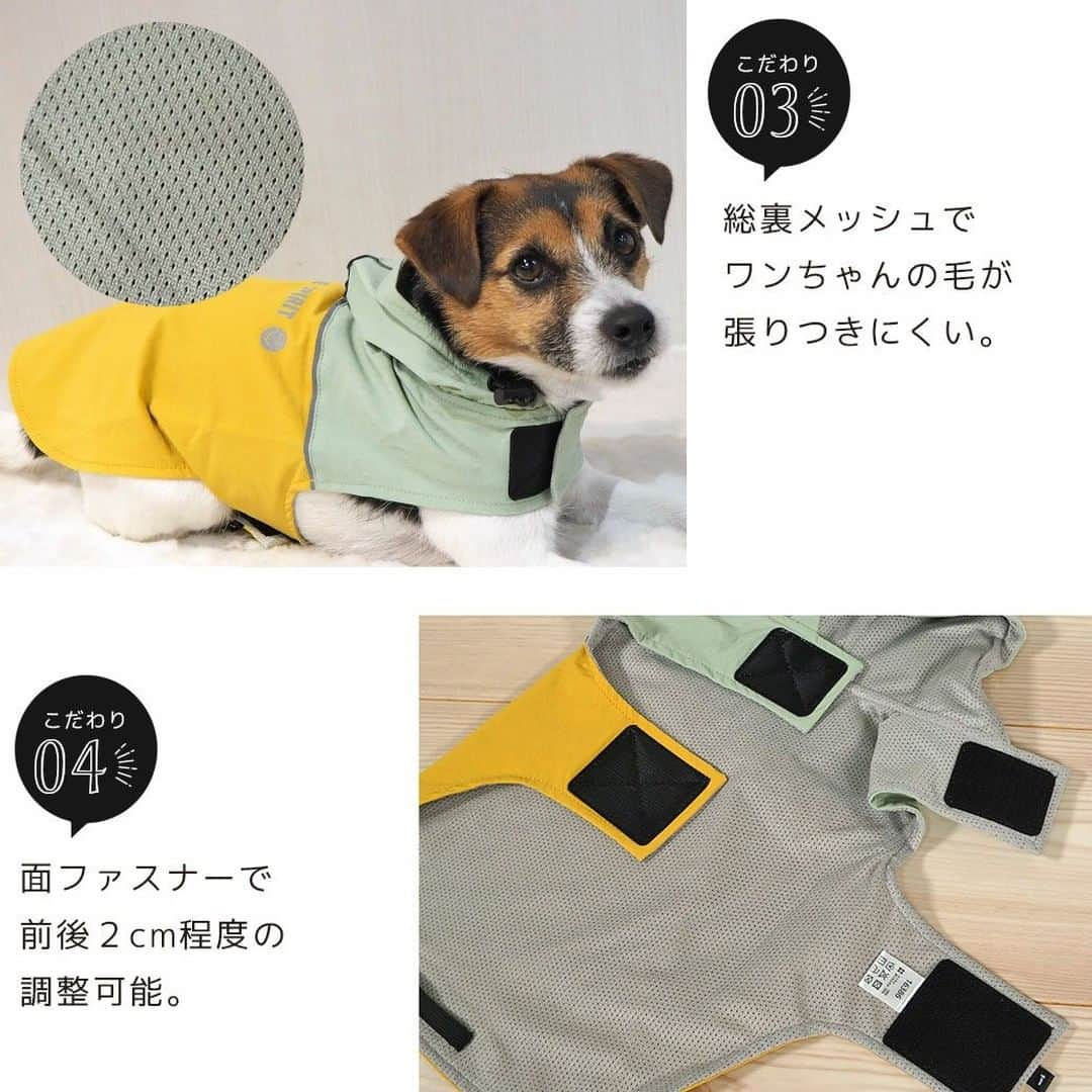 iDog&iCatさんのインスタグラム写真 - (iDog&iCatInstagram)「本日は梅雨の時期に活躍すること間違いなしの「SHIELD COAT バイカラーストレッチイージーレインコート」をご紹介いたします☔✨  バイカラーデザインがオシャレなレインコートです。 表のストレッチ性のあるナイロン素材には防水・撥水加工が施してあります。 さらに防汚・防油加工で付着した汚れも落ちやすいです。  フードと切り替え部分には反射テープが付いており、夜道のお散歩も安心です。 目に入る雨を少しでも防ぐように、小さなツバを縫い付け仕上げました。 さらにドローコードを引っ張ることで、愛犬の顔周りピッタリに調整することができます。オリジナルネームタグがポイントです。  首後にはリードホール付きです。  背中には反射プリントを入れました。 お尻部分がめくれ上がるのを防ぐために、裾裏には尻尾を引っ掛けるゴムが付いています。  首とお腹を面ファスナーで留めるだけで簡単に着せることができます。前後２cm程度の調整が可能です。  総裏メッシュでレインコートにワンちゃんの毛が張りつかないよう仕上げました。  愛犬に雨の日のお散歩を楽しんでほしい。そんな想いから、たくさんの機能を盛り込んだこだわりのペット用雨具です。 簡単に着せられるので、早くお散歩に行きたいワンちゃんにもおすすめです。  ※面ファスナーとはフック状とループ状の布テープを押し付けて貼り合わせる型式の留め具です。  商品番号/16386- 商品名/SHIELD COAT バイカラーストレッチイージーレインコート 3,245円(税込)  #iDog #iDogiCat #iCat #ペット服 #ドッグウェア #レインコート #カッパ #新作 #春夏新作 #犬服 #犬の服 #犬の服iDog #うちの子優勝 #梅雨」6月2日 16時15分 - idogicat