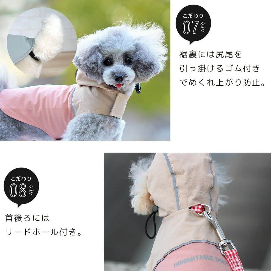 iDog&iCatさんのインスタグラム写真 - (iDog&iCatInstagram)「本日は梅雨の時期に活躍すること間違いなしの「SHIELD COAT バイカラーストレッチイージーレインコート」をご紹介いたします☔✨  バイカラーデザインがオシャレなレインコートです。 表のストレッチ性のあるナイロン素材には防水・撥水加工が施してあります。 さらに防汚・防油加工で付着した汚れも落ちやすいです。  フードと切り替え部分には反射テープが付いており、夜道のお散歩も安心です。 目に入る雨を少しでも防ぐように、小さなツバを縫い付け仕上げました。 さらにドローコードを引っ張ることで、愛犬の顔周りピッタリに調整することができます。オリジナルネームタグがポイントです。  首後にはリードホール付きです。  背中には反射プリントを入れました。 お尻部分がめくれ上がるのを防ぐために、裾裏には尻尾を引っ掛けるゴムが付いています。  首とお腹を面ファスナーで留めるだけで簡単に着せることができます。前後２cm程度の調整が可能です。  総裏メッシュでレインコートにワンちゃんの毛が張りつかないよう仕上げました。  愛犬に雨の日のお散歩を楽しんでほしい。そんな想いから、たくさんの機能を盛り込んだこだわりのペット用雨具です。 簡単に着せられるので、早くお散歩に行きたいワンちゃんにもおすすめです。  ※面ファスナーとはフック状とループ状の布テープを押し付けて貼り合わせる型式の留め具です。  商品番号/16386- 商品名/SHIELD COAT バイカラーストレッチイージーレインコート 3,245円(税込)  #iDog #iDogiCat #iCat #ペット服 #ドッグウェア #レインコート #カッパ #新作 #春夏新作 #犬服 #犬の服 #犬の服iDog #うちの子優勝 #梅雨」6月2日 16時15分 - idogicat