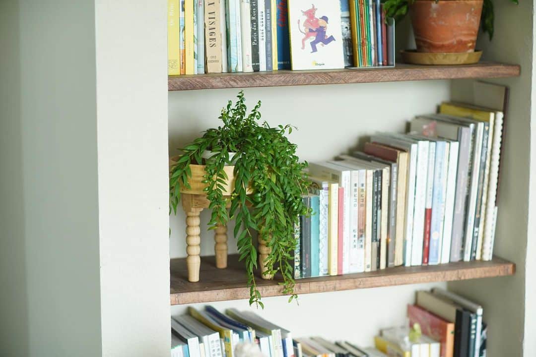 オルネ ド フォイユさんのインスタグラム写真 - (オルネ ド フォイユInstagram)「私のつかい方  こんにちは、キムです。  📷　1枚目 ナチュラルな素材感で、 脚の細かい装飾が綺麗なテーブル。 小さい植物を飾る時、 鉢カバーの代わりにして高さを出し、本棚に飾ってみました。 高さがあるので、そのまま床に置いても素敵な感じです。  📷　2・3枚目 メタルトレイは、猫ちゃんにお水をあげるとき使ったり、 ドライのオヤツをあげるときの出番です。 花柄が綺麗で、 猫ちゃんのオシャレなオヤツタイムになりました。  商品名： モロッコ・ウッドテーブル（1枚目） オルネコ モロッコ・メタルトレイ（2・3枚目）  ——————————————— ●商品詳細はプロフィールのリンクからご確認ください。 👉 @ornedefeuilles  ※オンラインショップの検索画面から モロッコ でチェック🔎 ※オンラインショップと不動前店の取扱い商品は異なります。  #植物のある暮らし #グリーンインテリア #観葉植物 #フラワーポット #植木鉢#インテリア #海外インテリア #モロッコ#ornedefeuilles #オルネドフォイユ」6月2日 18時20分 - ornedefeuilles