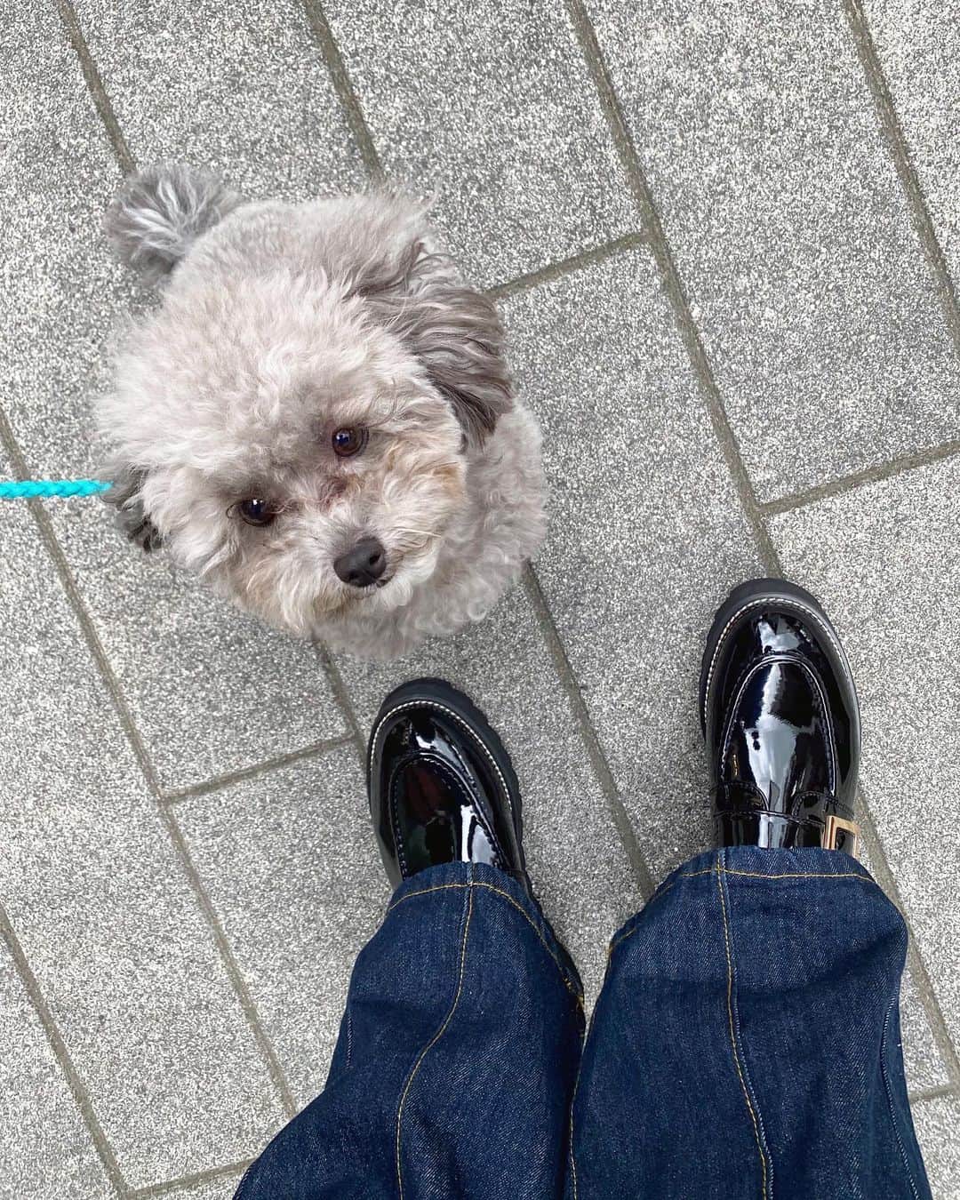 yukichi_yukiのインスタグラム：「@andex_shoes の厚底ローファー🤍🤍🤍  フルレングスのボトムスが多いから じゃあ何履いても同じじゃん？ みたいに思われがちだけど そんなことないよー！🥹🤍 歩いた時に可愛かったり、 スタイルが良く見えたり、 それはシューズの力なのだ…🙏🏻✨  2コーデ組んでみました✌︎ スクロールしてみてみてね🫶🏻  #マニッシュ#フレアパンツ#デニム#デニムコーデ#シンプルコーデ#初夏コーデ#夏コーデ#厚底シューズ#ローファー#大人コーデ#きれいめカジュアル#大人カジュアル#ポロシャツ#ストライプシャツ  #ゆきちゆき #ゆきちふく」