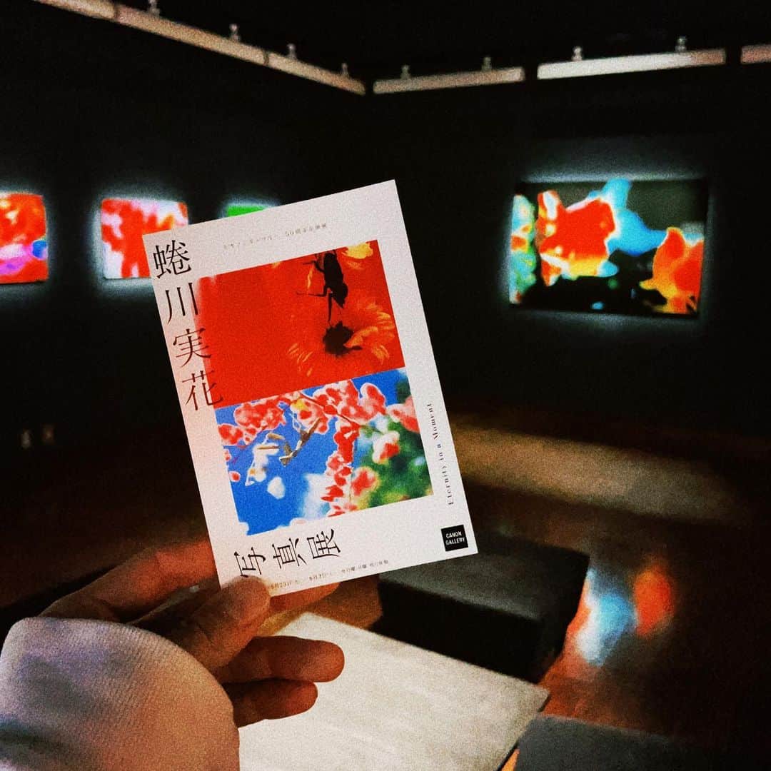 加藤 聖也のインスタグラム：「. 蜷川実花 写真展 品川に続き、先週銀座での写真展にも :)  蜷川実花さんの作品にどはまりです🤭 #蜷川実花 #蜷川実花写真展 #銀座」