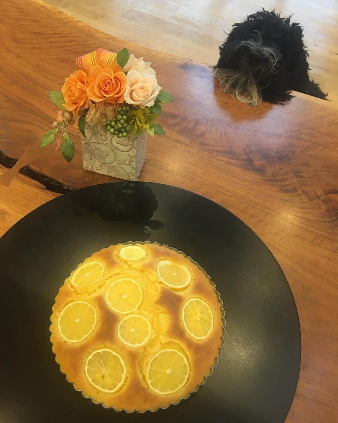 のインスタグラム：「今日のおやつは、娘のリクエストに応えて、レモン蜂蜜ケーキ🍋  家庭内でレモンの消費率は、お料理でもスイーツでも高いです。  今は植木鉢でレモン収穫が年に数個しかできないので、いつか大きなレモンの木を植えるのが夢です♡  #娘のリクエスト  #レモン大好き  #Bow君いつも狙ってる」
