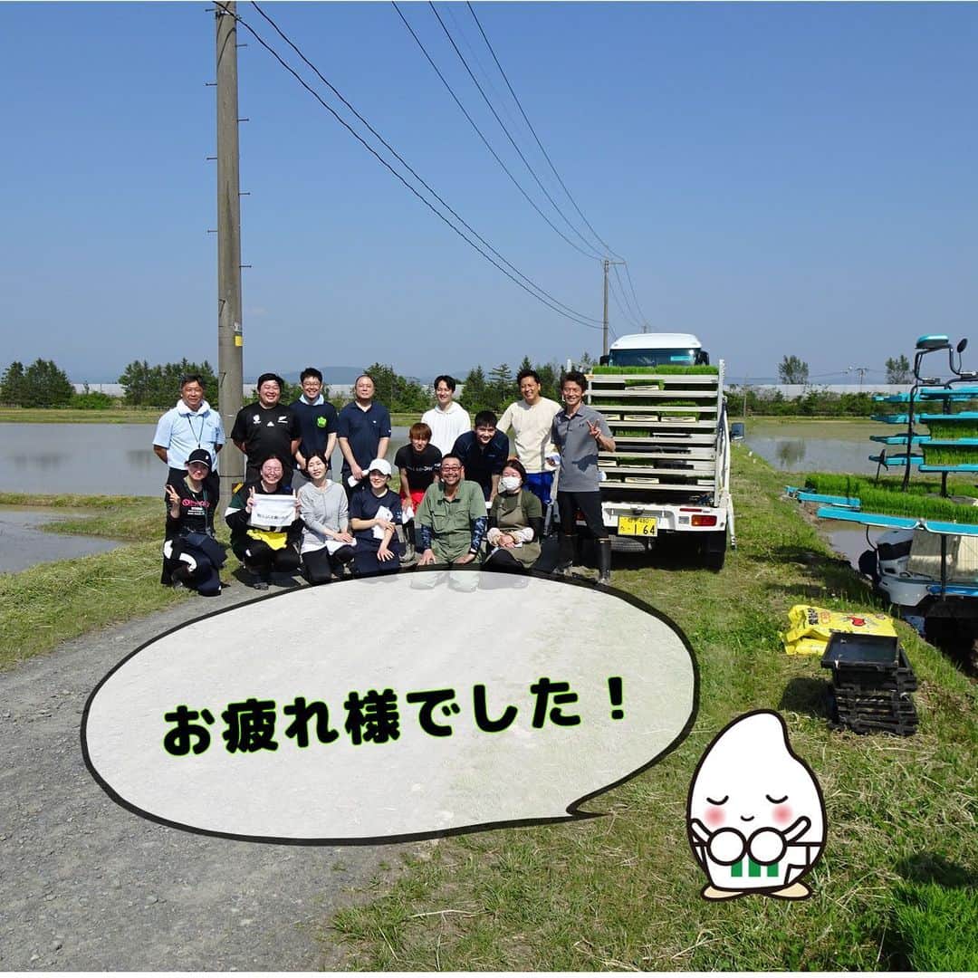ミツハシくん-Mitsuhashi Rice-さんのインスタグラム写真 - (ミツハシくん-Mitsuhashi Rice-Instagram)「岩手県花巻市で田植え研修をしてきたよ🌱  ミツハシライスでは毎年田植え・稲刈り研修を行っているんだ🌾 今回は田植え研修の様子をお届け🕊️  田植え機に苗を補充したり、 田植え機に乗って機械作業を体験したり 最後には手植えも行ったんだ！  またお米に関する講義も受け、 知識をつけたよ📝  みんな、お疲れ様でした🙇‍♀️👏  次は稲刈り研修の様子もお届けできたらいいな✨  #ミツハシライス  #企業キャラクター  #ミツハシくん   #岩手県 #花巻市   #農業 #田んぼ #米作り  #田植え #稲刈り   #稲 #米 #お米 #ごはん #rice」6月2日 17時18分 - 3284rice