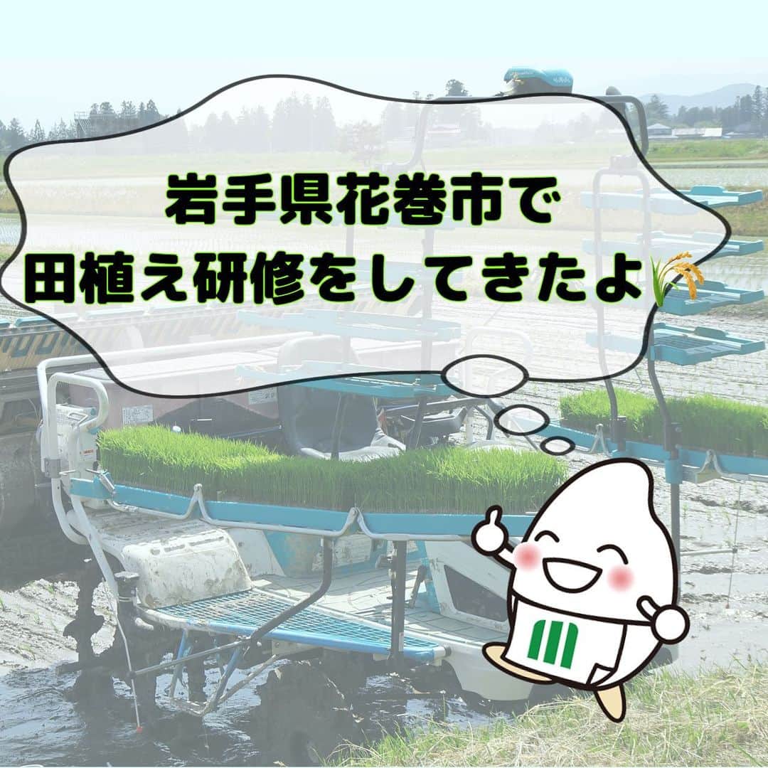 ミツハシくん-Mitsuhashi Rice-のインスタグラム