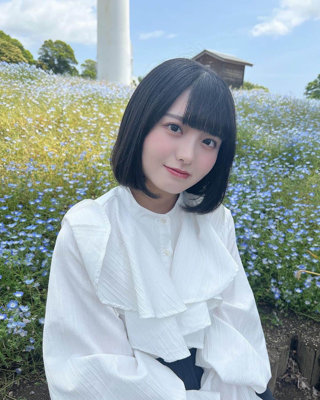 小柴美羽さんのインスタグラム写真 - (小柴美羽Instagram)「ネモフィラ！  .  .  .  . #お花 #花 #お花畑 #ネモフィラ #フラワー #福島 #遠征 #アイドル #黒髪ボブ #黒髪 #ボブ #自然 #透明感 #ブルベ夏 #偶像 #被写体 #flower #japan #japantrip #japantravel #japanlife #japanesegirl #k#japaneseidol #japanesegirls」5月29日 20時27分 - miu_koshiba