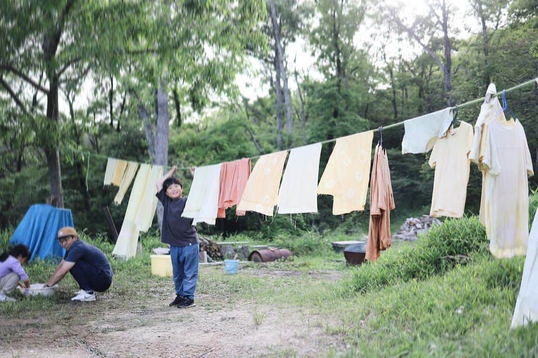 きなこのインスタグラム：「今回の自然体験は草木染め🌿 ヨモギと玉ねぎの皮を使って手拭いやTシャツを染めました。以前家でやってみた時と違って、大きな釜で豪快に染められて、どの色止め液を使うとどう色が変わるかをみんなであれこれ試行錯誤するのが楽しかった😁  生地、染め時間、色止めのための媒染液の違いでそれぞれ仕上がりの色が全く変わるのが実験みたいで面白い♡  途中、野生のうさぎが茂みの中からひょっこり遊びに来てくれてびっくり🐰（最後の写真のどこにいるでしょう♩  #草木染め #自然あそび #こどもとおでかけ #小学生 #小学生男子 #育児 #子育て #こどもと暮らす」