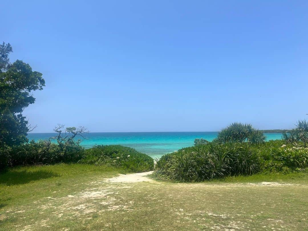 新倉真奈美さんのインスタグラム写真 - (新倉真奈美Instagram)「久しぶりの宮古島🏝  今回は初めて下地島にも 行きました♡  @blueturtle_miyako という cafeの景色と 下地島の最北端にある 17ENDというビーチの海が 綺麗過ぎて本当に癒されました🐬」5月29日 20時54分 - mana0809