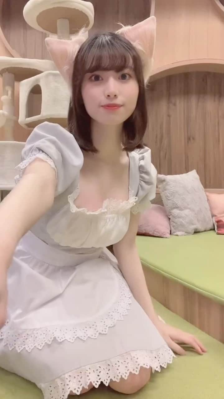 のインスタグラム：「この衣装でTikTokも撮った(=^・^=)  ----------------------------------  #猫カフェ #猫 #コスプレ #メイド服 #メイド #制服 #japanesegirl #偶像 #偶像练习生 #idol #gravure #asiangirls#유니폼　#秋葉原 #akihabara  #followme #like #japan #selfie #ootd #instagood #맞팔 #몸스타그램 #东京 #动漫 #粉我  #그라비아 #화보 #寫真偶像 #นางแบบเซ็กซี่」