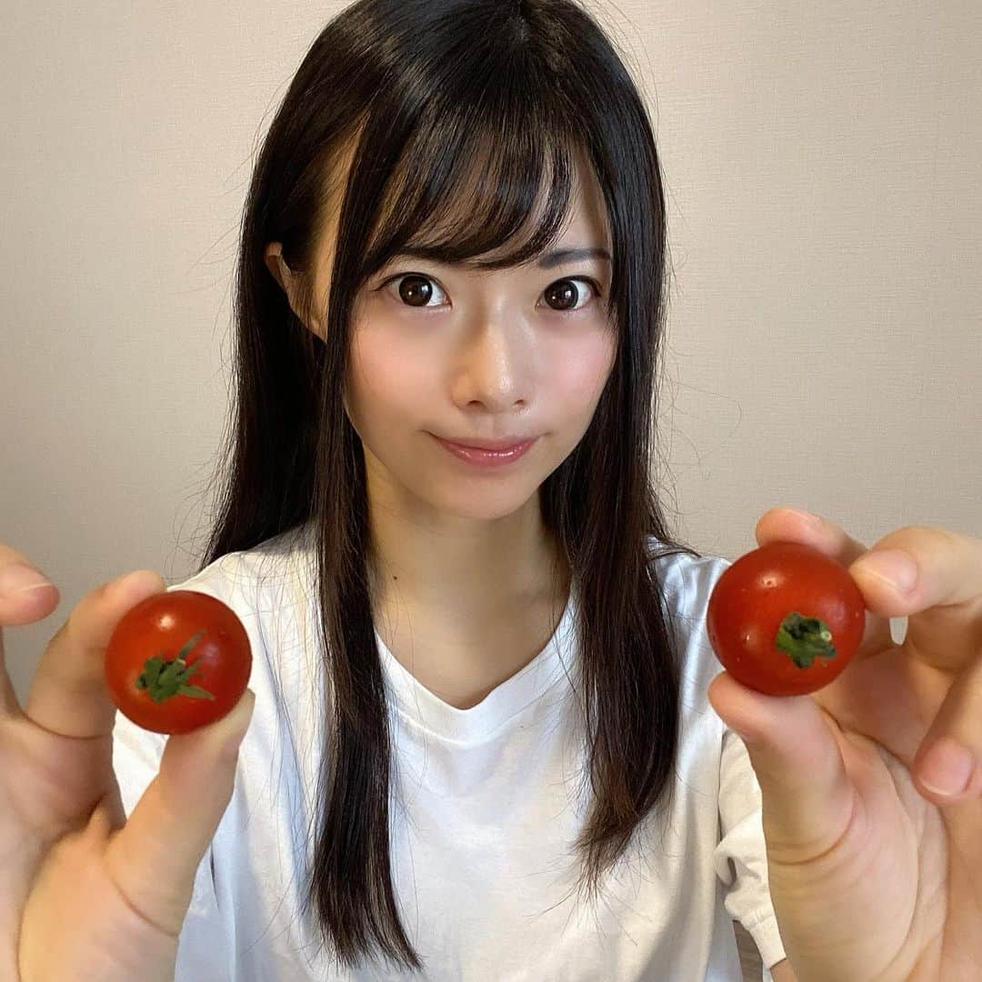 天津いちはのインスタグラム：「渥美半島たはらブランド認定の ミニトマトをいただきました🍅  たくさんの賞を受賞されているそうで 味が濃く、皮が薄くて食べやすいミニトマトで美味しかったです❤️  PR @atsumichantomato #渥美半島とまとランド #オンライン販売 #美味しい野菜 #トマト美味しい #トマト料理 #お取り寄せ野菜」