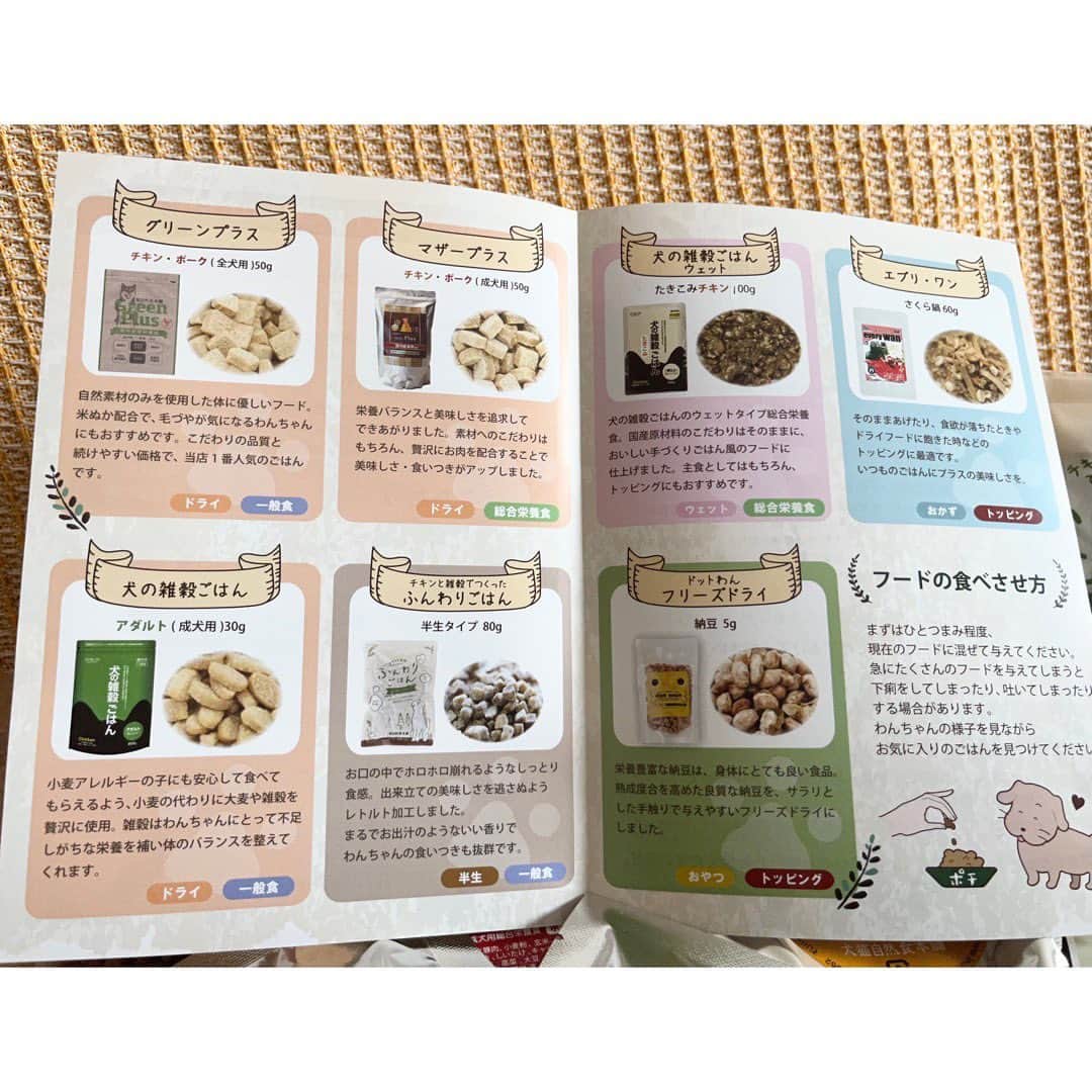 谷口あかりさんのインスタグラム写真 - (谷口あかりInstagram)「ⓁⓄⓋⒺ ⒹⓄⒼ ⁡ ⁡ 大好きな かいくんに ⁡ ヒューマングレード 無添加の いいものを🤍 ⁡ ノンオイルコーティング製法で 油のべたつき・ドッグフード特有の匂いなし🤍 まるでお出汁のような良い香り♪ ⁡ ⁡ 犬猫自然食本舗さんの 🐾ワンコインお試しフルセット🐾 @inuneko_honpo ⁡ ⁡ 🐾ドライフード5種 🐾レトルトフード1種 🐾セミモイスト(半生)フード1種 🐾おかず1種 🐾おやつ1種 ⁡ ⁡ 試す価値あり🤍 ⁡ ⁡ 𝖲𝗆𝗂𝗅𝖾 𝗐𝗂𝗍𝗁 𝖬𝖾 ⁡ *☼*―――――*☼*―――――*☼*―――――*☼* ⁡ PR @inuneko_honpo #無添加ドッグフード #国産ドッグフード #ドッグフード選び #ドッグフードジプシー #ドッグフード嫌い #ドッグフード食べない #犬のお試しフルセット #犬猫自然食本舗 ⁡ #𝗃𝖺𝗉𝖺𝗇 #𝗍𝗈𝗄𝗒𝗈 #𝗌𝗆𝗂𝗅𝖾 #女優 #劇団四季 #ミュージカル  #被写体  #𝗉𝗈𝗋𝗍𝗋𝖺𝗂𝗍  #撮影　#カメラマンさんと繋がりたい #作品撮り　#音楽  #筋トレ」5月29日 21時34分 - akari.taniguchi
