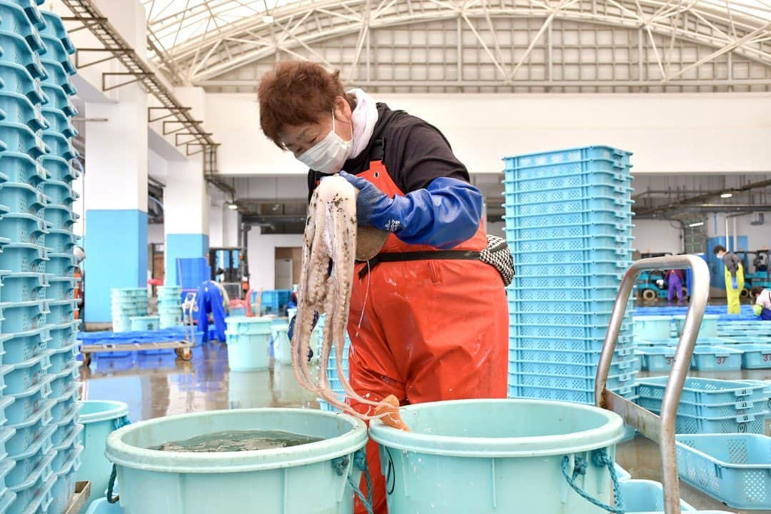 LOVEさんのインスタグラム写真 - (LOVEInstagram)「2023.5.26 Soma, Fukushima, fishing port  Photography by chitose design lab @hamugeso   with  @hiro_sugiyama_enlightenment @f.i.0314」5月29日 13時20分 - loveyanen_official