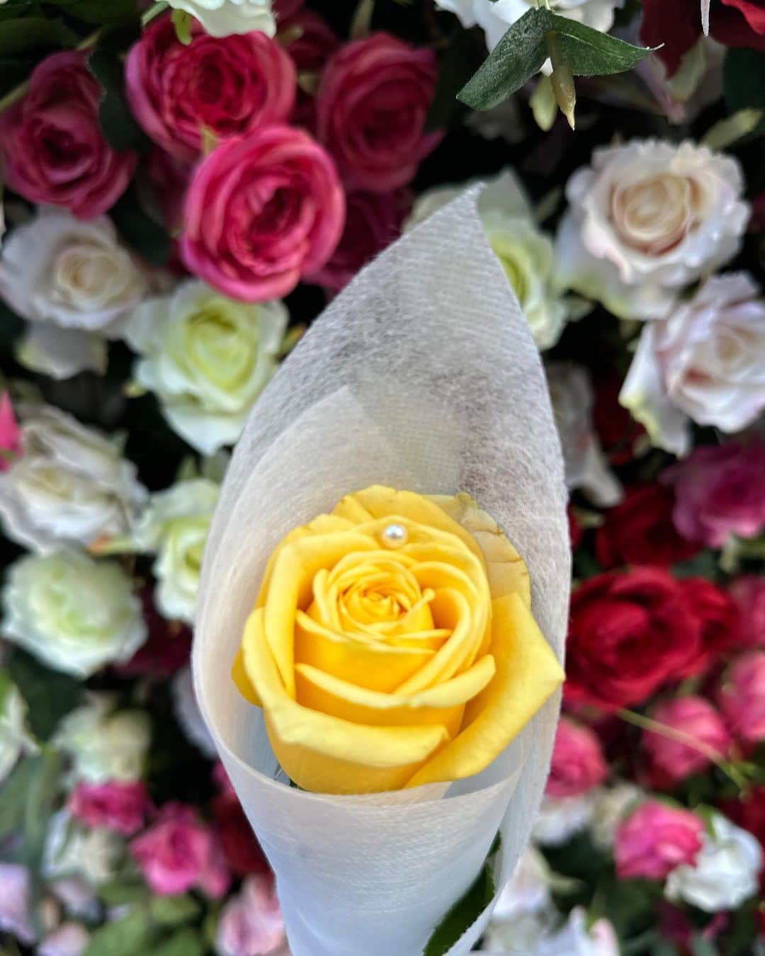 のインスタグラム：「🥀」