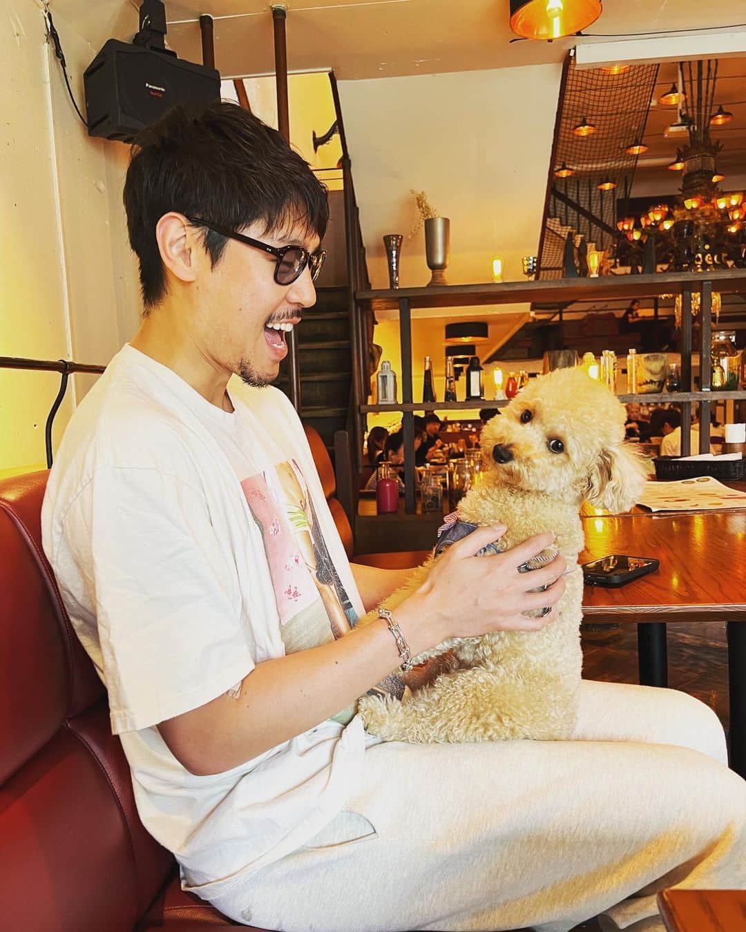 長谷川惠一のインスタグラム：「カワイイかよ🥹  おかげですごく癒されました☺️  実家の犬たちにすごく会いたくなった🐶🐶  そうだ、新潟に帰ろう🚅  #新潟」