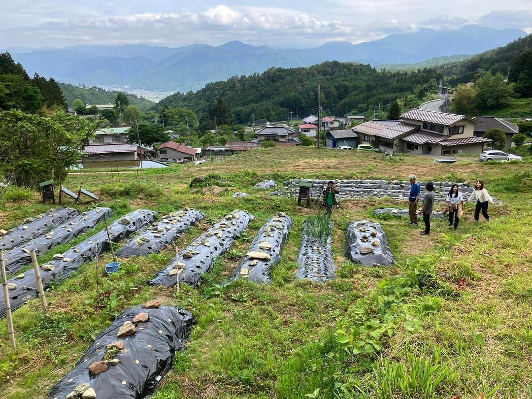 谷崎テトラのインスタグラム：「仲間と共有している山梨畑へ。富士山を望む里山にある100坪ほどの小さな畑。16畝のオーガニック、菌ちゃん農法の畑です。大豆　さといも2種。キンゴマ、さつまいも2種。ネギ、生姜、きゅうり、かぼちゃ、おくら、メロン、など、コンパニオンプランツを組み合わせながら、12種類以上の野菜を作って、コミュニティで共有、学びの場としてます。 菌ちゃん農法は農薬や化学肥料を使わず，土壌の糸状菌を活性化させ、無農薬でも虫が、つかない強い野菜を育てます。菌ちゃん農法については、YouTubeアースデイちゃんねるにて、吉田俊道先生のインタビューやベランダ農法を解説してますので、興味ある方はごらんください。」