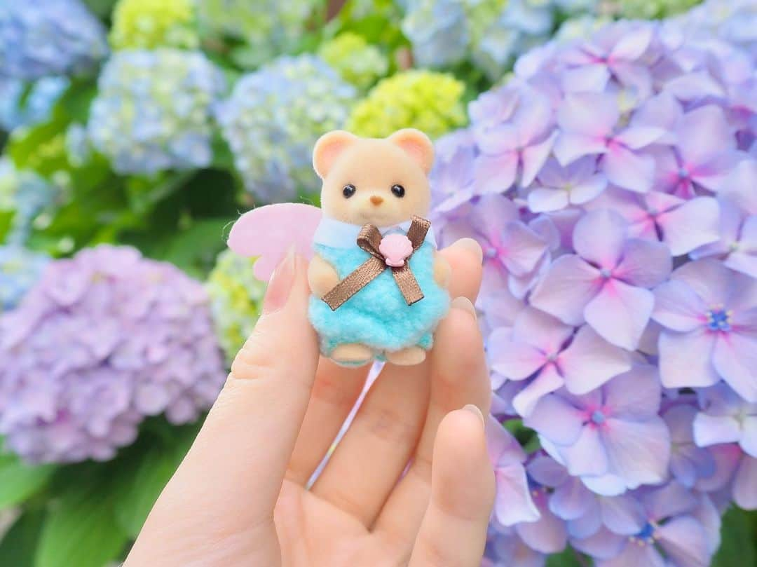 山根涼羽のインスタグラム：「.  紫陽花 × シルバニアファミリー  #シルバニア #シルバニアファミリー #sylvanianfamilies  #紫陽花 #カメラ #オリンパス #olympus」