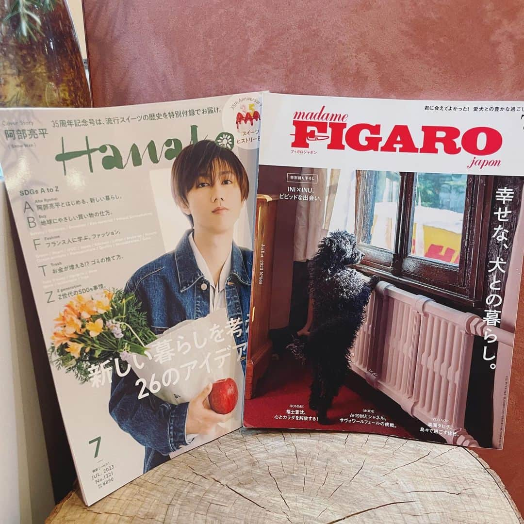 中島潮里さんのインスタグラム写真 - (中島潮里Instagram)「【雑誌掲載】 @hanako_magazine 7月号 "新しい暮らしを考える26のアイデア"のB(Buy)"エコで節約にもなるお買い物"にて洗剤の量り売りを紹介していただきました！ 同じページでエリさんと共演嬉しい🤣 @erisasakimeditationjourney   AtoZで様々なアイデアを紹介してくれているのでこれからの生活に役立つこと間違いなし🌏🧡 今回の内容も勉強になる情報がたくさんで編集の皆様、ありがとうございます😭🙏 . . @madamefigarojapon  【幸せな、犬との暮らし】 にてマレ&アモを紹介してくださいました！ マレはおまけみたいにいるので是非見つけてあげてください笑 (3枚目) . . #雑誌掲載サロン#雑誌掲載のお知らせ#hanakomagazine#figarojapon#エシカルな暮らし#エシカルな暮らしのヒント#サステナブルな暮らし#サステナブルライフ」5月29日 15時03分 - whyte_shiori