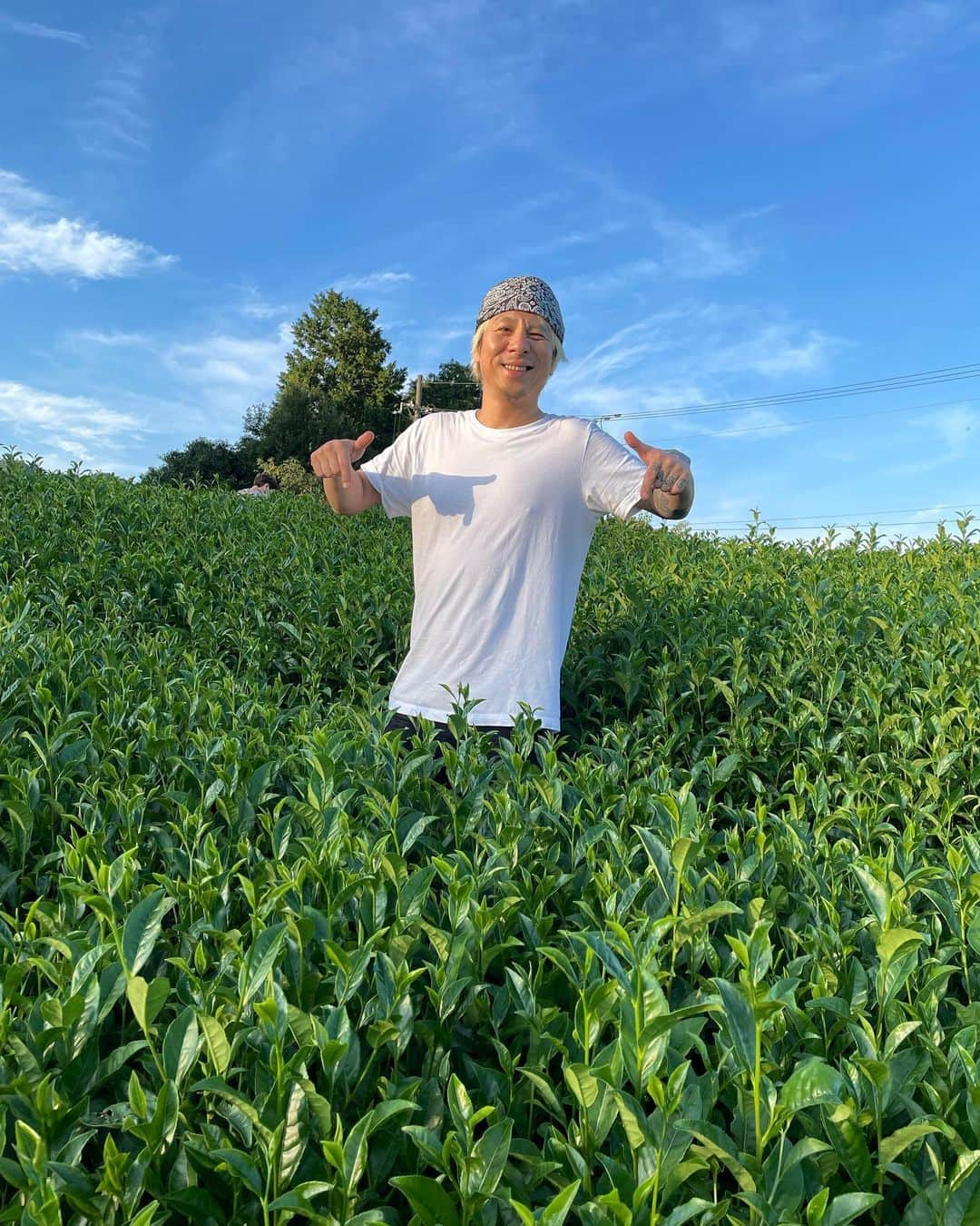 masasucksさんのインスタグラム写真 - (masasucksInstagram)「2023年の新茶が到着しました！ 新茶の販売開始です🙆‍♂️🤣💪🏻 この時期のプレミアムな新茶なのでお早めにゲットしてください〜‼️  リンクはプロフィールよりbaseへ👍🏻  #マサ茶ん #マサ茶ん収穫祭2023 #新茶茶葉 #とても香ばしいほうじ茶もあります #ちゃーすぅー #masasucks」5月29日 15時10分 - sucksmen