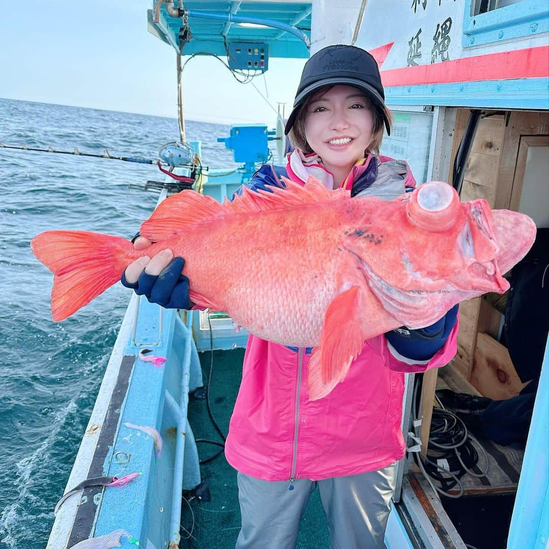 里美ゆりあのインスタグラム：「青森県まで深海魚ベニアコウを求めて🎣 奇跡のベニアコウは釣れなかったけどバラメヌケ初ゲット❣️ ゆりあ釣り魚図鑑にメモ📝しようっと😉 ホラアナゴも初ゲット❣️ 可愛いアホウドリとも仲良くなれて満足✨✨  #釣果 #釣り #青森 #fishing  #深海魚 #深海釣り #里美ゆりあ #太平洋 #ベニアコウ」