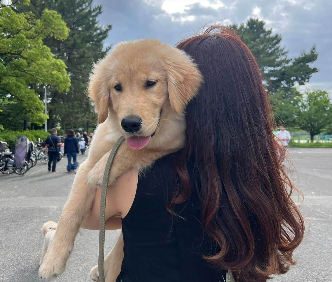 薮下柊さんのインスタグラム写真 - (薮下柊Instagram)「癒されピクニック🌱☀️🐶  太陽を、めいいっぱい浴びて 日焼けした✨😂  家族ぐるみ(ワンズ混み)で仲良くしてくれて いつもありがとう☺️  #ピクニック」5月29日 15時39分 - __yabushita_shu__