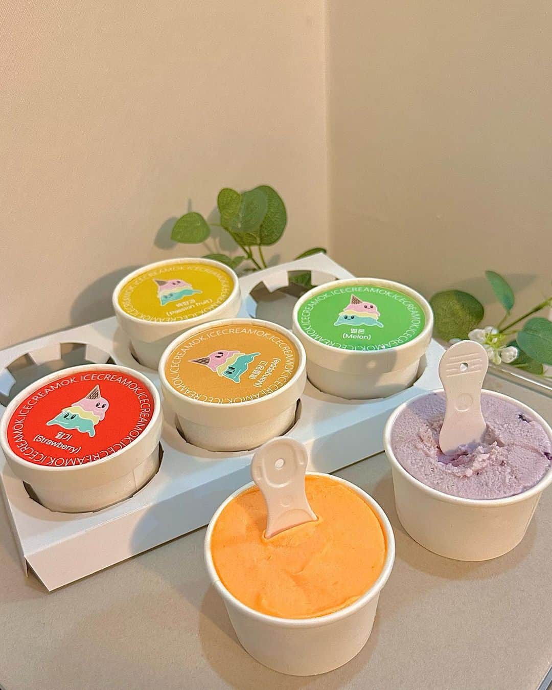 ジユルのインスタグラム：「내 원픽은 뭘 거 같아?🤔   🧡 💛 💜 ❤️ 💚  #세리픽 #젤라또 #아이스크림옥  @shabet_serri @icecreamok21」