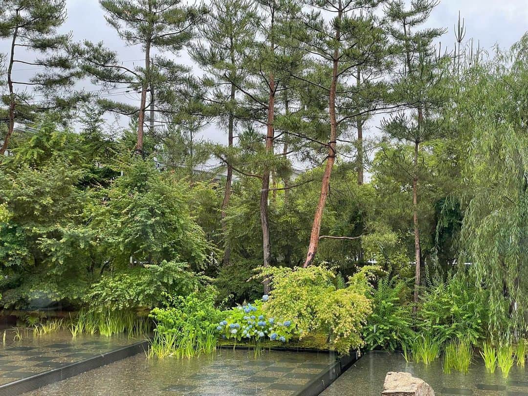 小橋めぐみのインスタグラム：「雨の京都、月曜日、オフ。 ずっと行ってみたかった、嵯峨嵐山にある日本美術専門の美術館、 福田美術館へ。  開催中の「橋本関雪　生誕140周年　KANSETSU 」が素晴らしく、特に関雪が描いた日本猿に惹かれました。  昔、冷泉さんの芝居のレッスンで、みんなを動物に例えたら？というお題で、私は全員一致で「小橋は猿」となり、 少々複雑な想いを抱いたのですが、 関雪が描いたような猿ならいいかなぁと思えました（何の話だ）🙈  名画を堪能した後は、 併設のミュージアムカフェ 「パンとエスプレッソと福田美術館」で、渡月橋と大堰川を眺めながら、のんびり。庭に少しのブルーの紫陽花が、色を添えていました。 ここの景色は晴れている日が断然おススメのようですが、しとしとと雨が降り続く様を眺めるのも、心が落ち着いてとてもよかったです🍃  #福田美術館 #橋本関雪 #京都 #art #kyoto #カフェのある美術館」