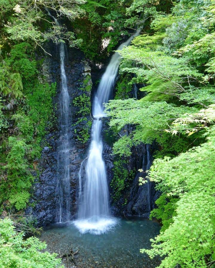 和みわかやまさんのインスタグラム写真 - (和みわかやまInstagram)「. 田辺市の安川渓谷にある、修験の滝💧新緑の中に流れる、透き通った水が映えますね😲  📷：@yoshiyan510 📍：熊野エリア 田辺市  和歌山の写真に #nagomi_wakayama のハッシュタグをつけて投稿いただくと、その中から素敵な写真をリポストします😉 . . . #和歌山 #和歌山観光 #和歌山旅行 #わかやま #和みわかやま #wakayama #wakayamajapan #wakayamatrip #wakayamatravel #nagomi_wakayama #wakayamagram #安川渓谷 #修験の滝 #滝 #新緑 #田辺 #waterfall #forestwalk #trekking #waterfalls #旅行 #国内旅行 #旅行好きな人と繋がりたい #観光 #travel #trip #travelgram #japan #travelphotography」5月29日 17時00分 - nagomi_wakayama_tourism