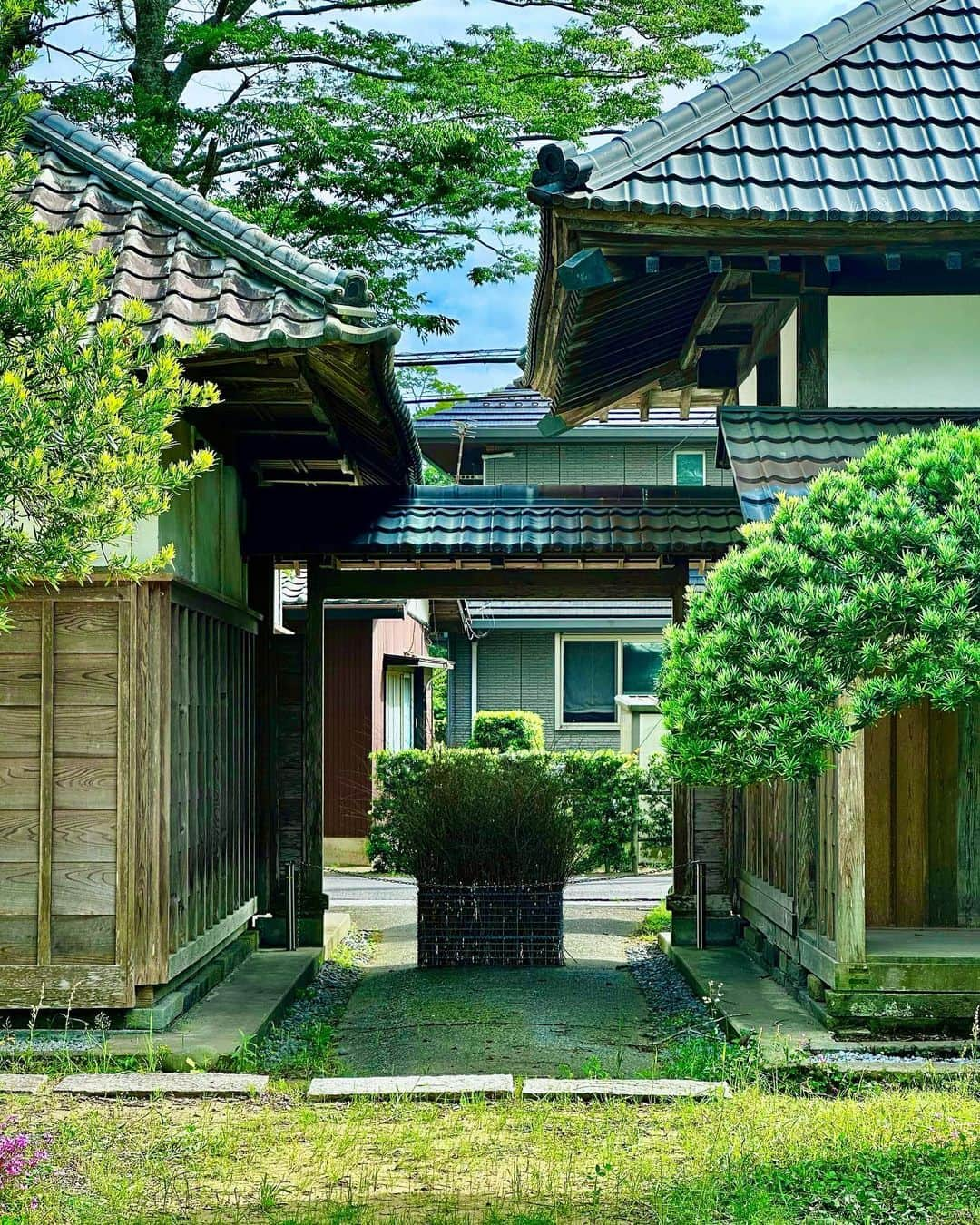 谷川じゅんじさんのインスタグラム写真 - (谷川じゅんじInstagram)「180 year old house. 千葉県白子町シラコノイエ。丁寧に時間をかけて蘇った古民家は陰翳礼讃をそのままにとこしえの時間が流れてる。古民家再生隈研吾さんの作品。隅々まで住む人の美意識が織り込まれた珠玉の空間はこころからご馳走様な場所でした。#mutsulannsora #goodvibesonly #goodneighbors #thisisjapan」5月29日 16時54分 - junjitanigawa