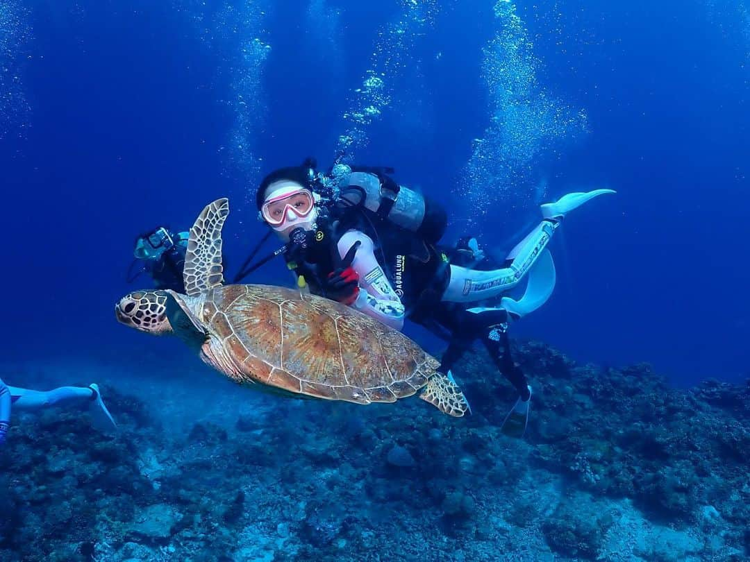 加島ちかえのインスタグラム