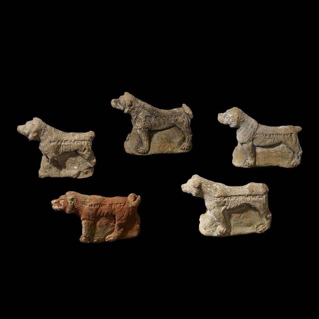 大英博物館のインスタグラム：「Don’t be fooled – they may look cute, but these dogs mean business 🐕  In Babylonia and Assyria many devices were used to protect people from evil and disease. Skilled practitioners made objects to be worn, hung up, or even buried, in order to prevent misfortune of any kind.  These miniature clay figures of mastiffs were buried to guard a property from devils and demons. This pack was found beneath a palace doorway at Nineveh – each is named after a quality required in guard dogs:  Loud is his bark! (black dog) Biter of his foe! (blue dog) Don't think, bite! (white dog) Catcher of the enemy! (red dog) Expeller of evil! (white dog with red spots)  🏛 See these ferocious five on display in Room 55 of the Museum 🐶   🔍 Fired clay dog figurines. North Palace, Nineveh, northern Iraq, about 645 BC.  #BritishMuseum #Assyria #Nineveh #Dogs」