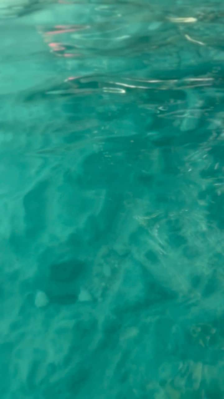 黒木桃子のインスタグラム：「カワサンの川の水は最高に気持ち良い。クリアー！ ずっとプカプカしてたいな  #kawasanfalls #canyoning」