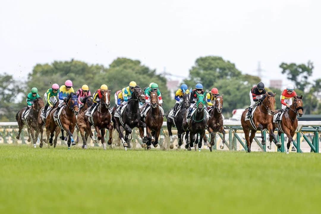 netkeibaさんのインスタグラム写真 - (netkeibaInstagram)「ㅤㅤㅤㅤㅤㅤㅤㅤㅤㅤㅤㅤㅤㅤㅤ ㅤㅤㅤㅤㅤㅤㅤㅤㅤㅤㅤㅤㅤㅤ 0528 Derby Day 🏇🇯🇵✨️ . . #instahorse #horsetagram #thoroughbred #horseracing #horse #horseofinstagram #keiba #競馬 #馬 #騎手 #日本ダービー #東京優駿 #石井竜也 #長澤まさみ #見上愛  撮影：下野雄規」5月29日 21時30分 - netkeiba