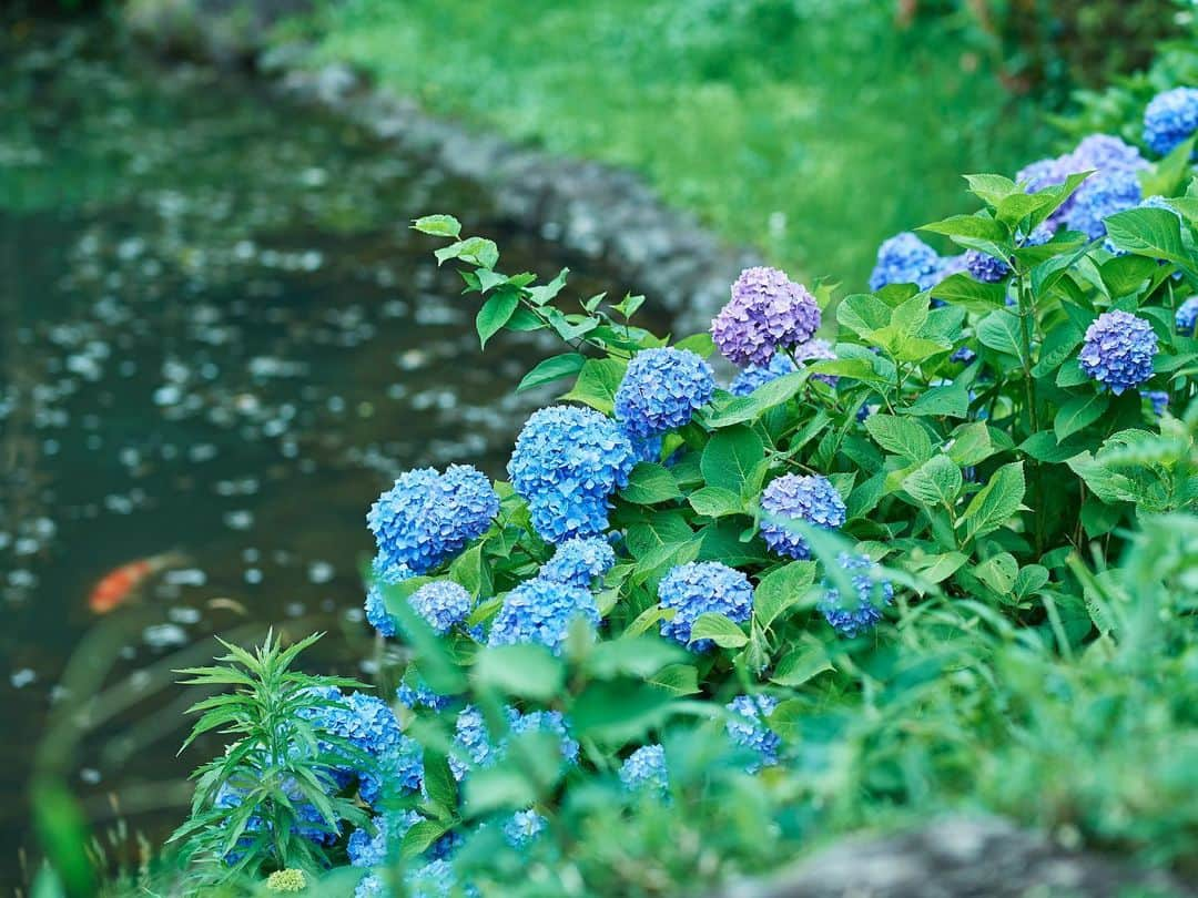 ホテル椿山荘東京のインスタグラム