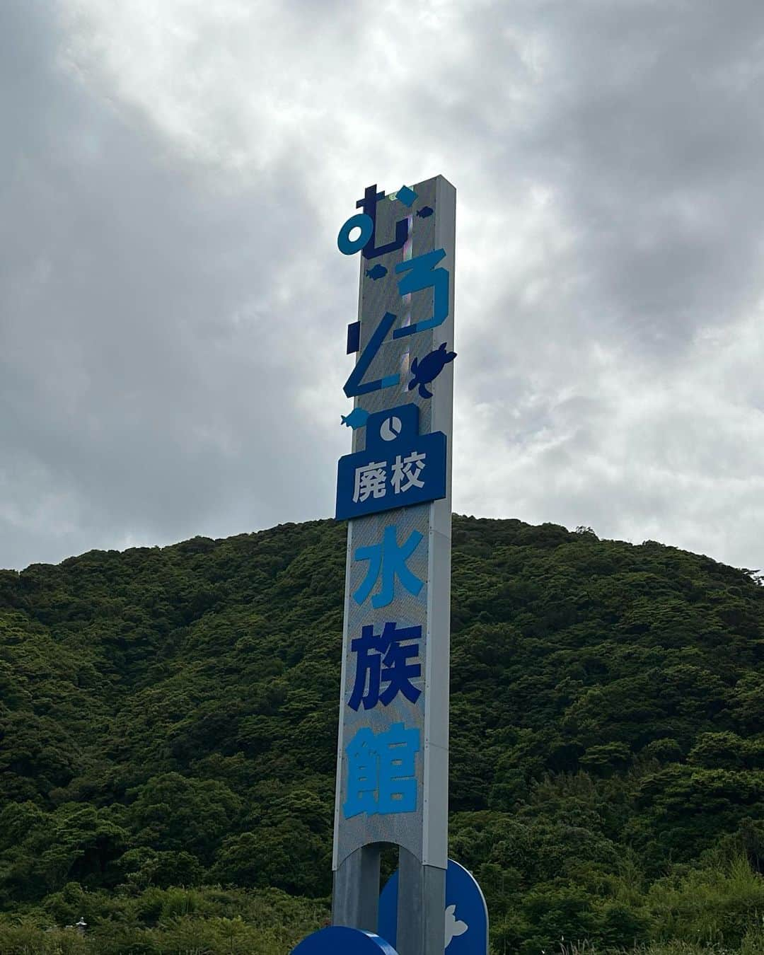 志麻のインスタグラム：「廃校が水族館になった高知県の名スポット、むろと廃校水族館に行って来た。  プールにサメがいたり、AEDの中に魚がいたり、流し場にエビおったり。  学校でよくみる備品が全部水槽になっててすごかった！   #むろと廃校水族館 #室戸 #高知」