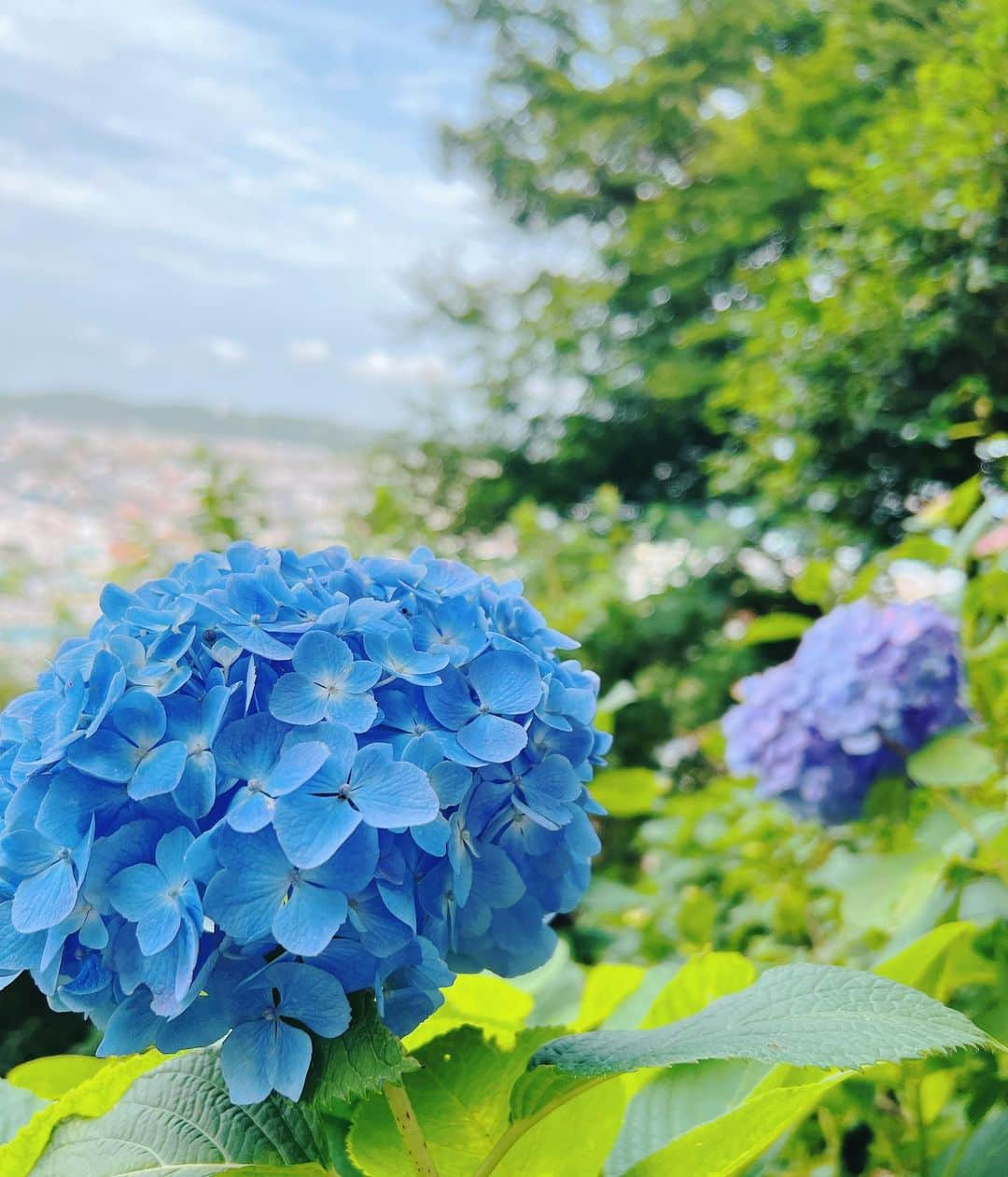 竹内里奈さんのインスタグラム写真 - (竹内里奈Instagram)「🩵☔️ 梅雨のお花に会いに🫶 思い立って行ってみたかった長谷寺に♪ 紫陽花も見頃で見晴らしも雰囲気も とっても素敵でした✨  ハワイアンの ブレスレットも🥺🌺 ありがとう♡ @yuri_fuku04  ・ ・ ・ ・ ・ ・ ・ ・ ・ #紫陽花 #長谷寺 #お花好き  #アナウンサー #フリーアナウンサー #竹内里奈」5月29日 18時34分 - rina.takeuch