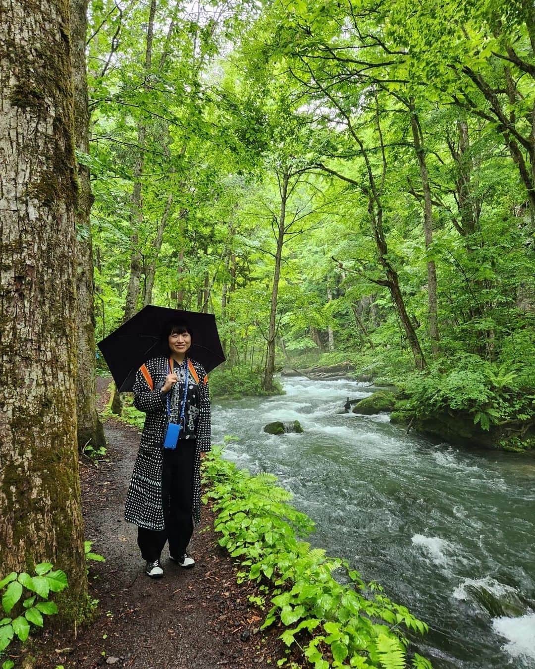 南海キャンディーズ【公式】さんのインスタグラム写真 - (南海キャンディーズ【公式】Instagram)「奥入瀬渓流に行ってきました。 川の流れのように、、いきたいと思いました。雨でアスファルトが濡れて水面のようできれいでした。 苔がきれいでした。」5月29日 19時01分 - nankaicandies