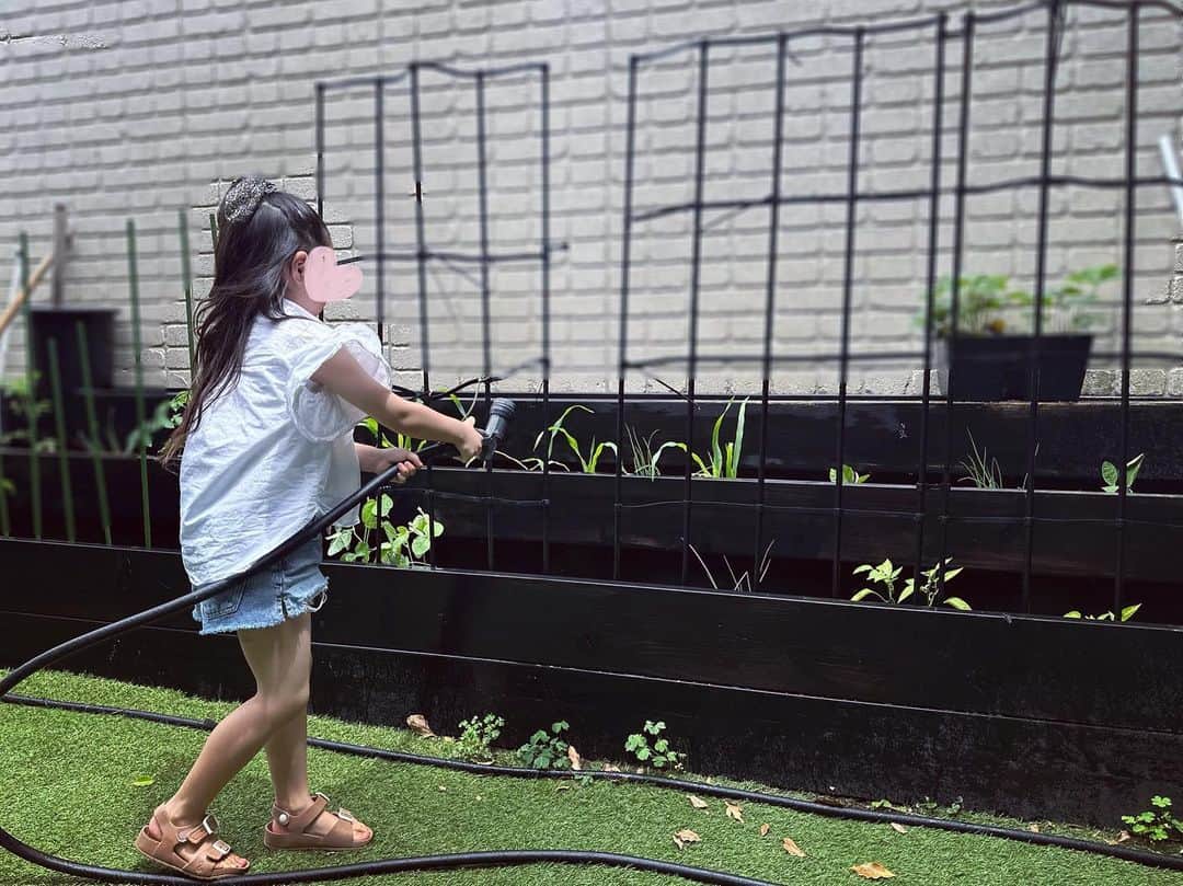 鈴木六夏さんのインスタグラム写真 - (鈴木六夏Instagram)「娘。今まではあまり興味を示していなかった家庭菜園ですが、 今年は少しづつお世話しています。 どれか１つ、担当を決めてあげたら達成感もひとしおかな？😆 でも育たなかった時のショックも大きいか…😅😅悩みどころw。  よその娘さんたちより お洒落もメイクもそーーんなに興味津々なタイプではないかな？と思っていましたが、最近は着るものも自分で決めたがるし、 お休みの日は髪の毛クルクルしたい。とかこーゆー髪型やりたい。とか相談してくるようになって母キュン♡  去年買ったザラのシャツ。 アイロンするよって言ってるのに いいからいいからと聞いてくれず シワ😂  #謎に棒が立っているのは #取り急ぎの #犬いたずら対策🐕🙅🏻‍♀️」5月29日 18時55分 - rikuka.62