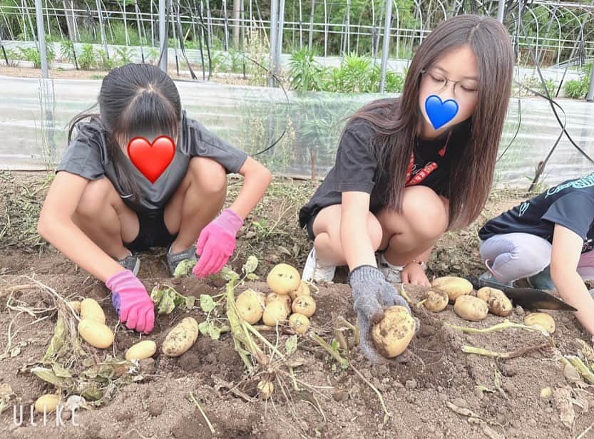 水元秀二郎さんのインスタグラム写真 - (水元秀二郎Instagram)「愛娘とお友達でジャガイモ掘り＆農業体験。 茄子🍆や、きゅうり🥒も収穫。泥だらけで遊んで貴重な体験をしました。 ご協力頂きました熊本市北区植木町の農家様、本当にお世話になりました。ありがとうございました😊 #愛娘 #２人のエルサ #ジャガイモ掘り #農業体験 #お友達」5月29日 18時55分 - gangsta.hidejiro