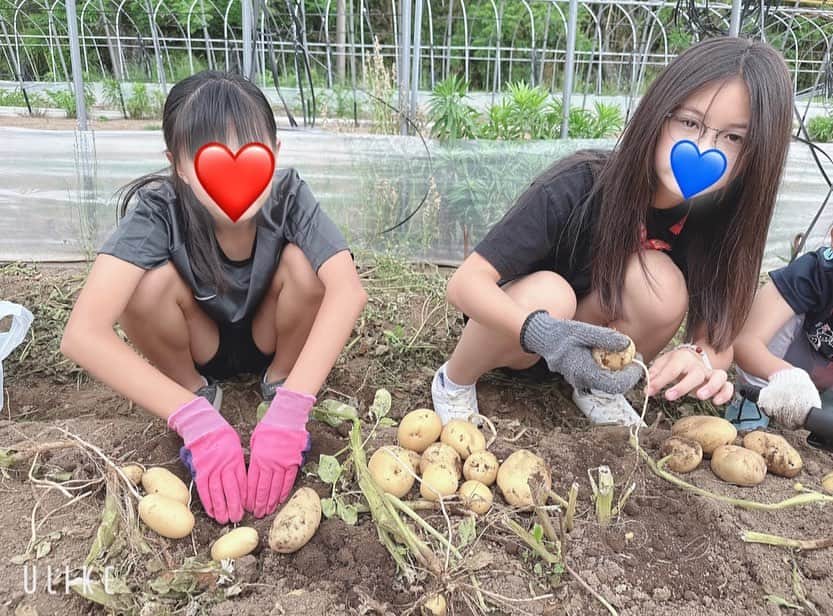 のインスタグラム：「愛娘とお友達でジャガイモ掘り＆農業体験。 茄子🍆や、きゅうり🥒も収穫。泥だらけで遊んで貴重な体験をしました。 ご協力頂きました熊本市北区植木町の農家様、本当にお世話になりました。ありがとうございました😊 #愛娘 #２人のエルサ #ジャガイモ掘り #農業体験 #お友達」