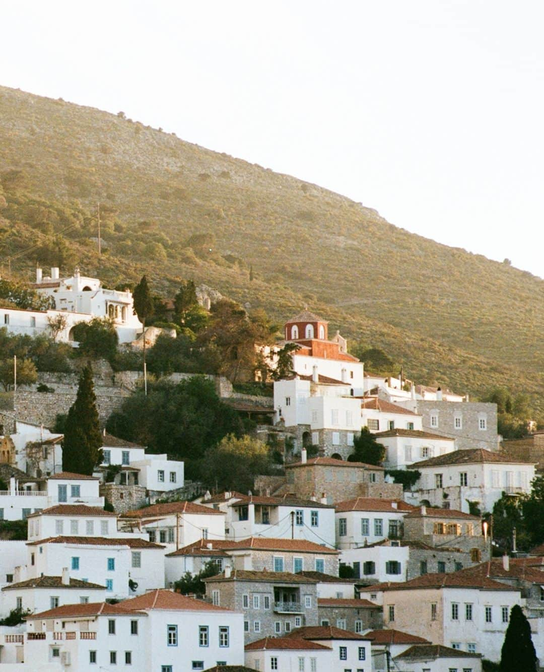 ミラーハリスのインスタグラム：「Inspired by the natural wild beauty of the Greek island of Hydra, known as the Pearl of the Aegean Sea #TakeMeToHydra #HydraFigue」