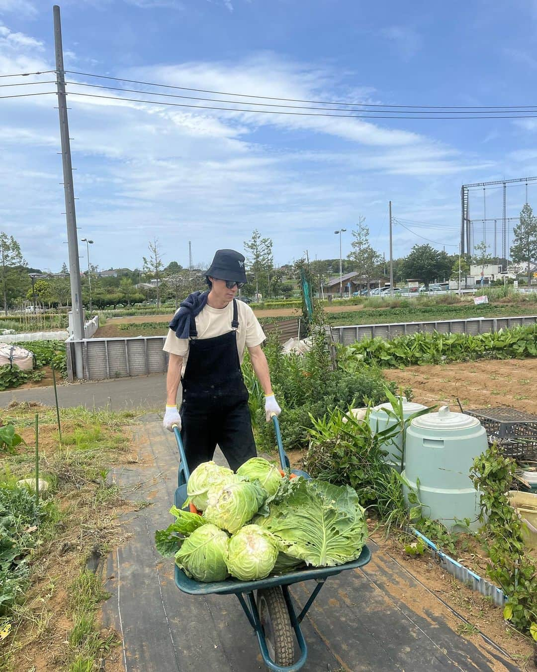 佐野千晃さんのインスタグラム写真 - (佐野千晃Instagram)「おじちゃんおばちゃんのお野菜いっぱい採ってきた！！  良い天気すぎて暑かったけど野菜たちは待ってくれない←  じゃがいも掘ってカブを引っこ抜いて豆類プチプチ取って🧅  たくさん土に触れてリフレッシュ！！  美味しいご飯たくさん作ろう🤤💓  #yummy #Delicious #good #love #handmade #made #in #moana #instagram #instagohan #instafood #農家スタイル #日差しがすごい #土 #楽しい #軍手してれば #虫 #触れる」5月29日 19時24分 - sanochiaki810