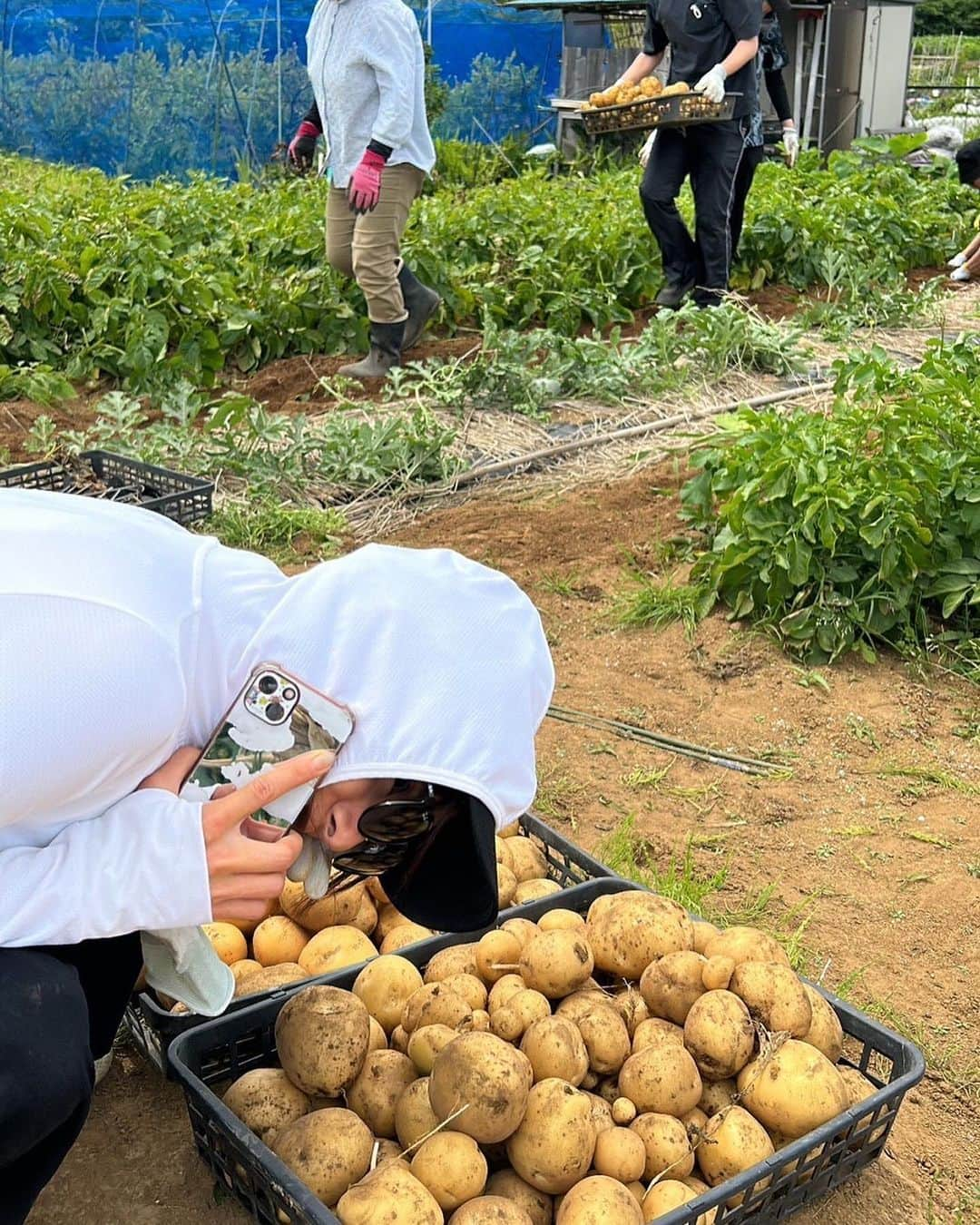 佐野千晃さんのインスタグラム写真 - (佐野千晃Instagram)「おじちゃんおばちゃんのお野菜いっぱい採ってきた！！  良い天気すぎて暑かったけど野菜たちは待ってくれない←  じゃがいも掘ってカブを引っこ抜いて豆類プチプチ取って🧅  たくさん土に触れてリフレッシュ！！  美味しいご飯たくさん作ろう🤤💓  #yummy #Delicious #good #love #handmade #made #in #moana #instagram #instagohan #instafood #農家スタイル #日差しがすごい #土 #楽しい #軍手してれば #虫 #触れる」5月29日 19時24分 - sanochiaki810