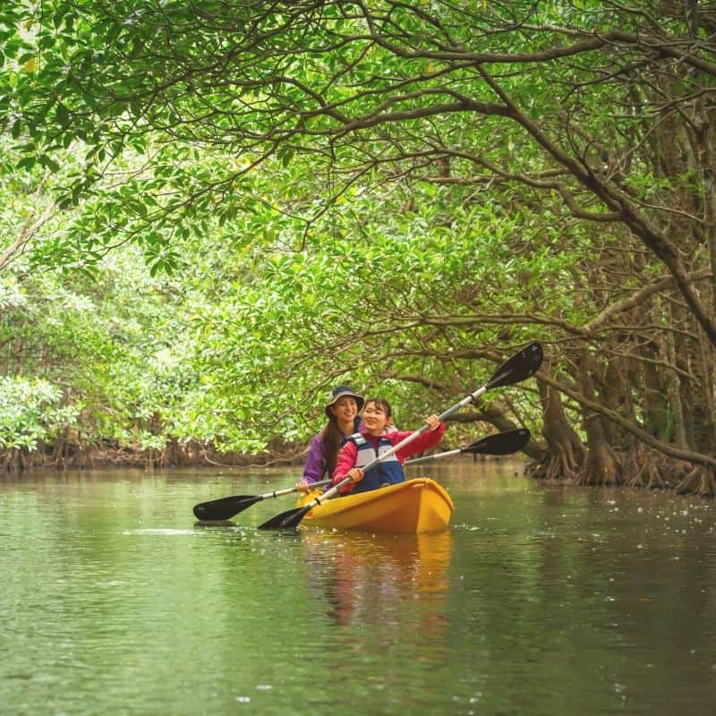Be.okinawaさんのインスタグラム写真 - (Be.okinawaInstagram)「【Discovering Okinawa’s Subtropical Mangroves】 Okinawa’s mangroves create unique ecosystems that host biodiverse native fauna, providing a precious habitat for many migratory birds, fish, and crustaceans. Five families and seven species of mangroves grow here, including the hirugimodoki mangrove — a rare species that in Japan can only be seen in Okinawa, the furthest north they can inhabit.  Link in bio.   #japan #okinawatrip #visitokinawa #okinawajapan #discoverjapan #japantrip #japantravel #okinawa #okinawanature #explorejapan #mangrove #subtropical」5月29日 20時00分 - visitokinawajapan