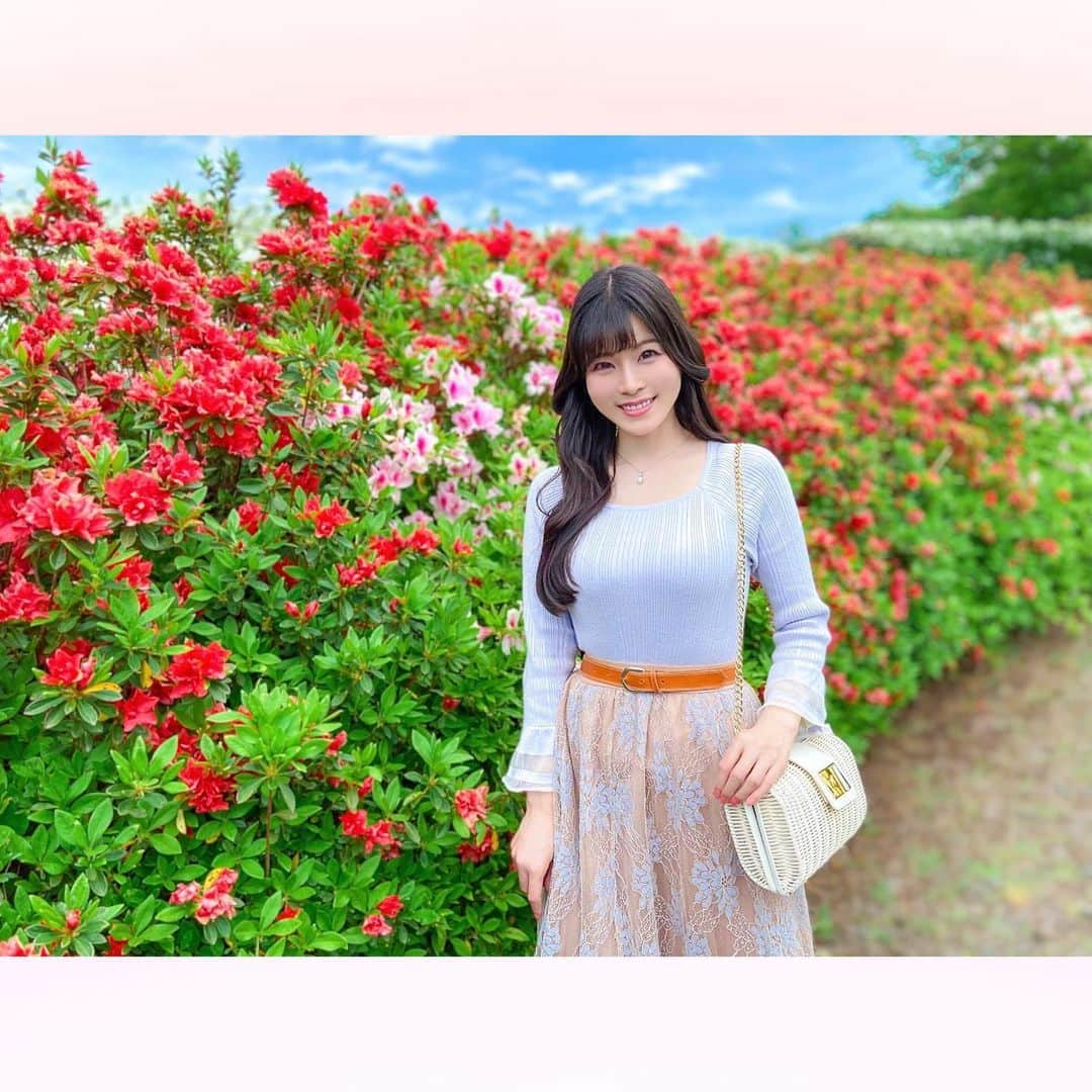 長柄ひろみさんのインスタグラム写真 - (長柄ひろみInstagram)「#Azalea 🌺  壁一面の躑躅🌺✨  2色になっているピンクの躑躅が可愛くて好き🥰💗  皆さんは何色の躑躅が好きですか😊？？   ｡・ﾟ・。✾｡・ﾟ・。✾｡・ﾟ・。✾｡・ﾟ・｡✾。・ﾟ・。  #ツツジ」5月29日 20時00分 - aoi_asahi