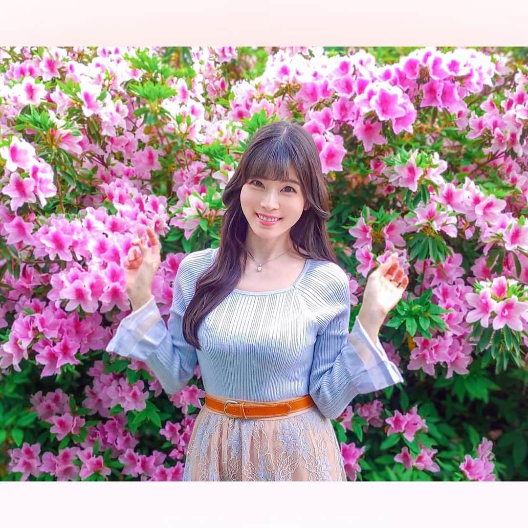 長柄ひろみさんのインスタグラム写真 - (長柄ひろみInstagram)「#Azalea 🌺  壁一面の躑躅🌺✨  2色になっているピンクの躑躅が可愛くて好き🥰💗  皆さんは何色の躑躅が好きですか😊？？   ｡・ﾟ・。✾｡・ﾟ・。✾｡・ﾟ・。✾｡・ﾟ・｡✾。・ﾟ・。  #ツツジ」5月29日 20時00分 - aoi_asahi