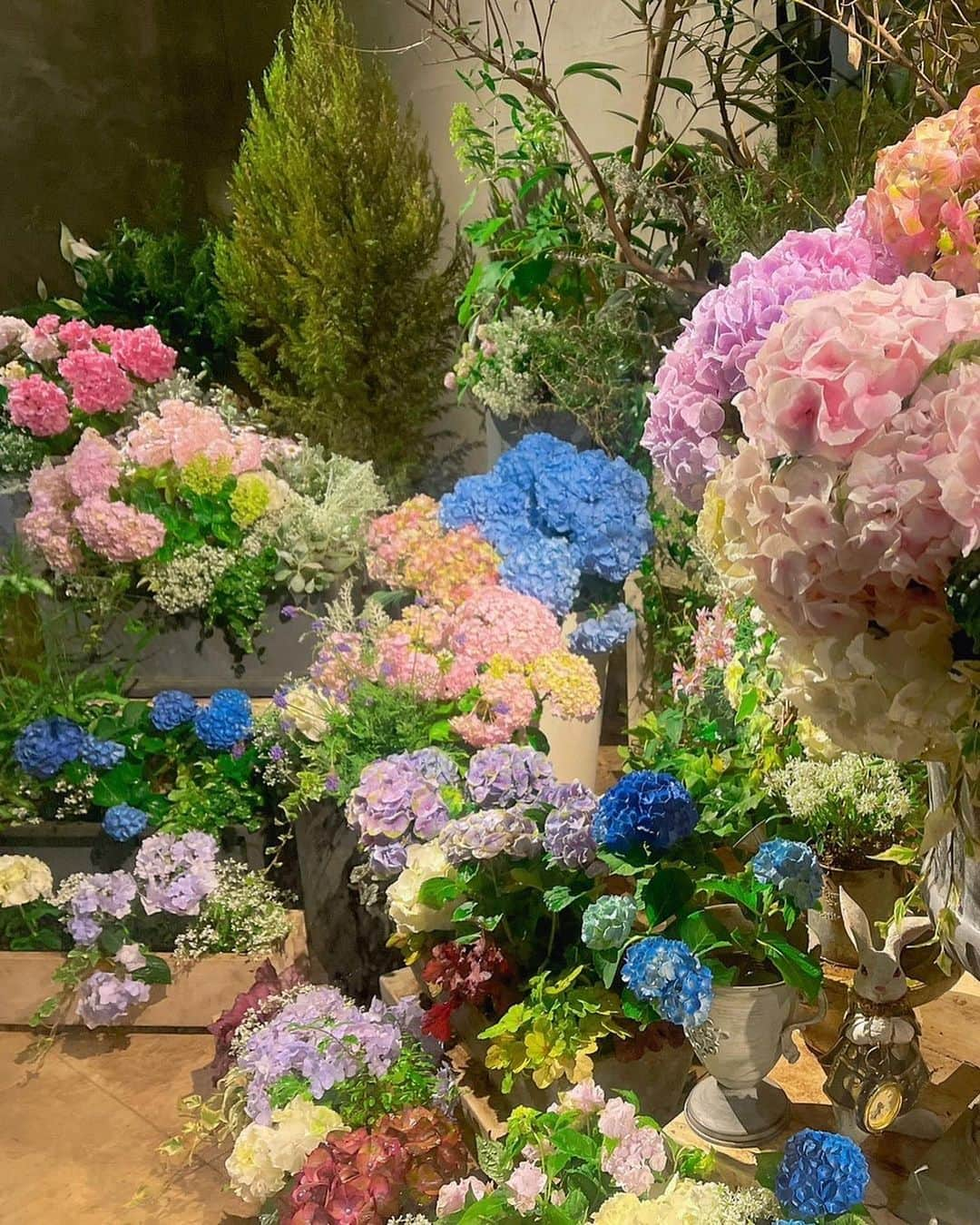 MIOさんのインスタグラム写真 - (MIOInstagram)「紫陽花とご馳走🍽💐💜」5月29日 20時21分 - mio.xx13