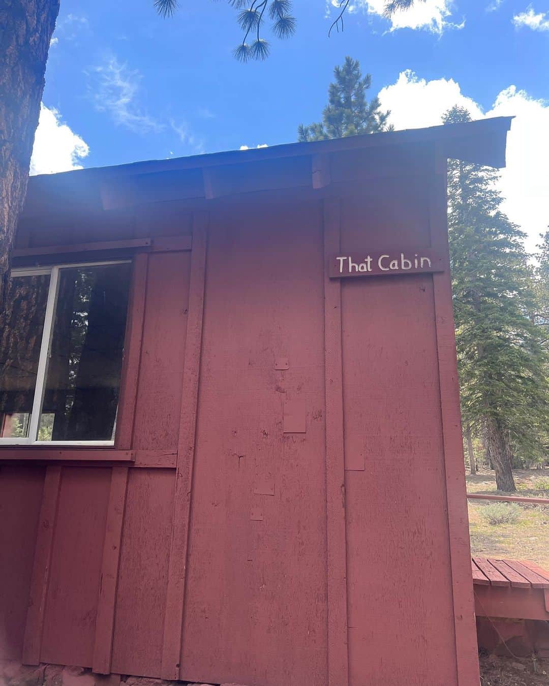 ミシェル・モナハンさんのインスタグラム写真 - (ミシェル・モナハンInstagram)「Went on a hike and found "that cabin". 🫣🔆⛺️」5月30日 7時08分 - michellemonaghan
